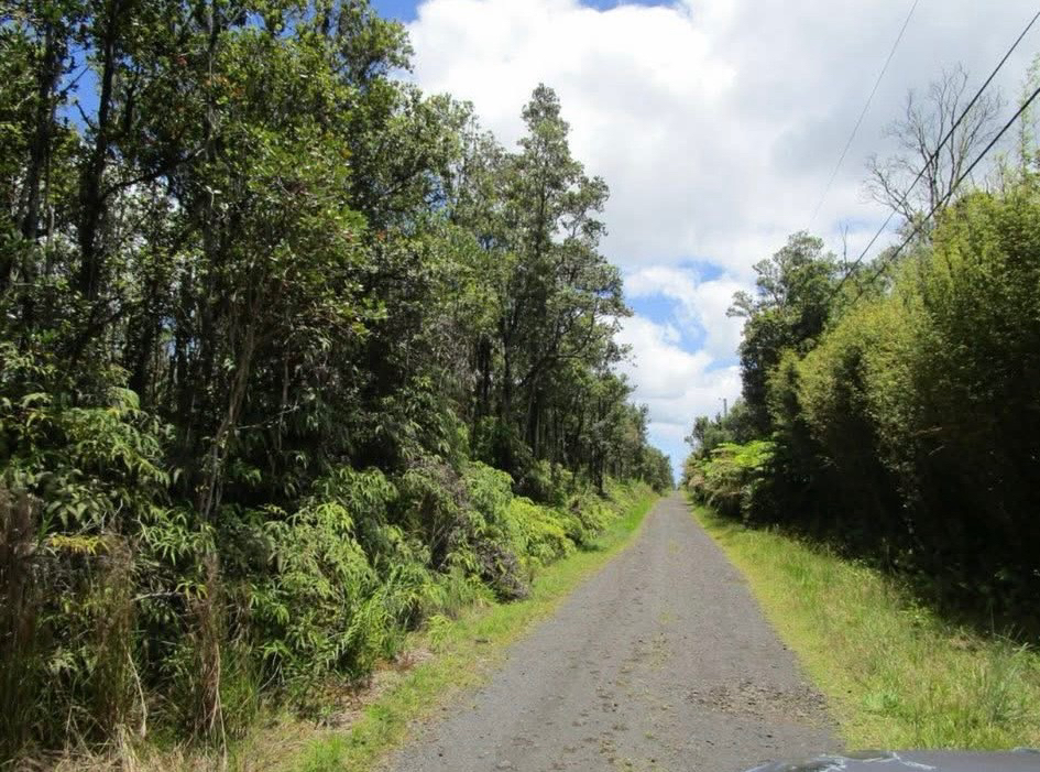 Kopaa St Property Photo 1