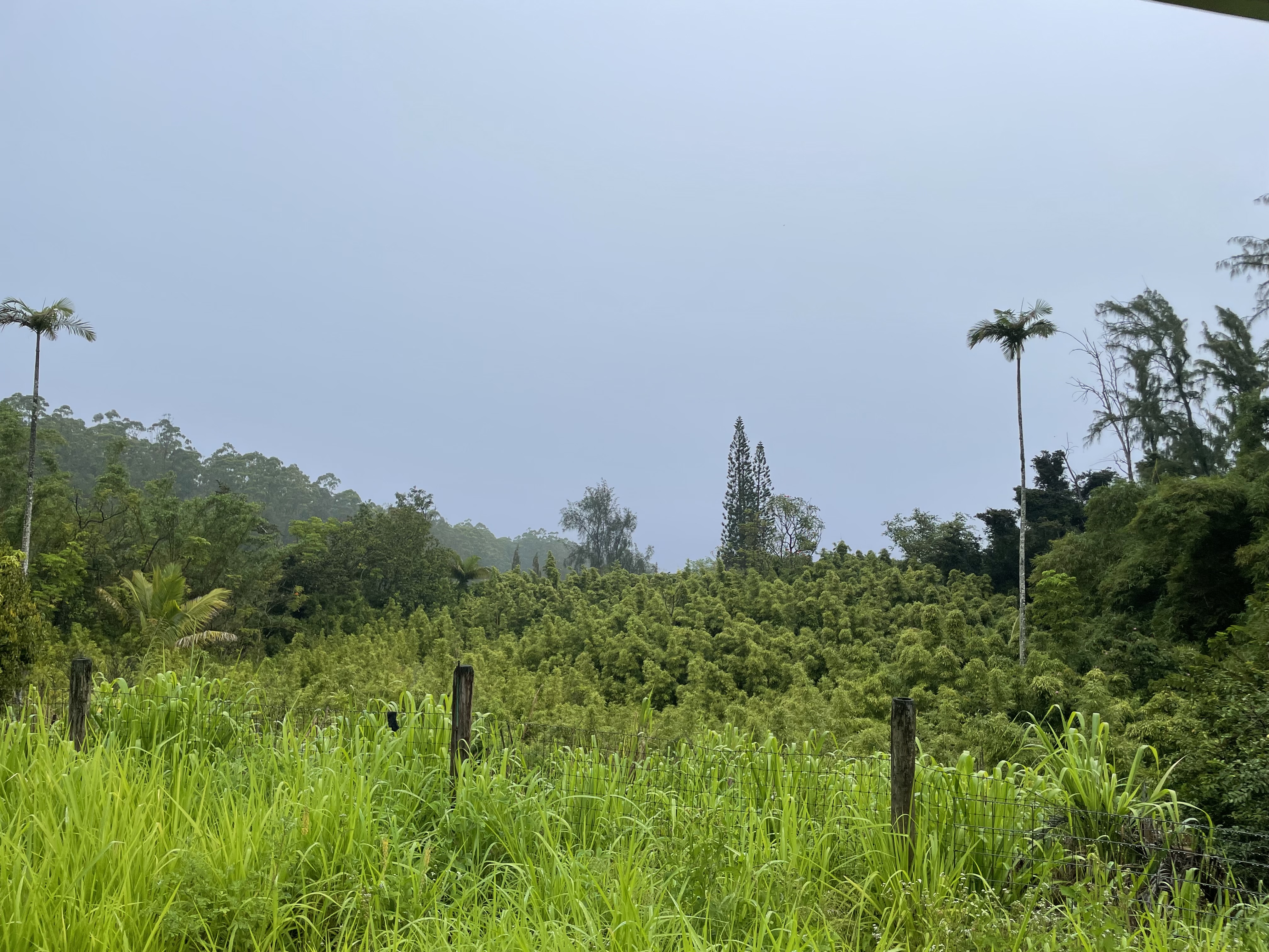 39-3342 Hana Ika Luna Camp Rd Property Photo 1