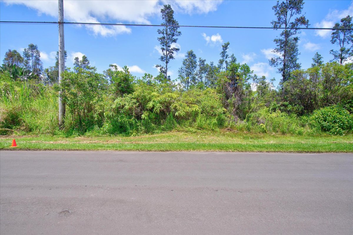 Plumeria St Property Photo 2