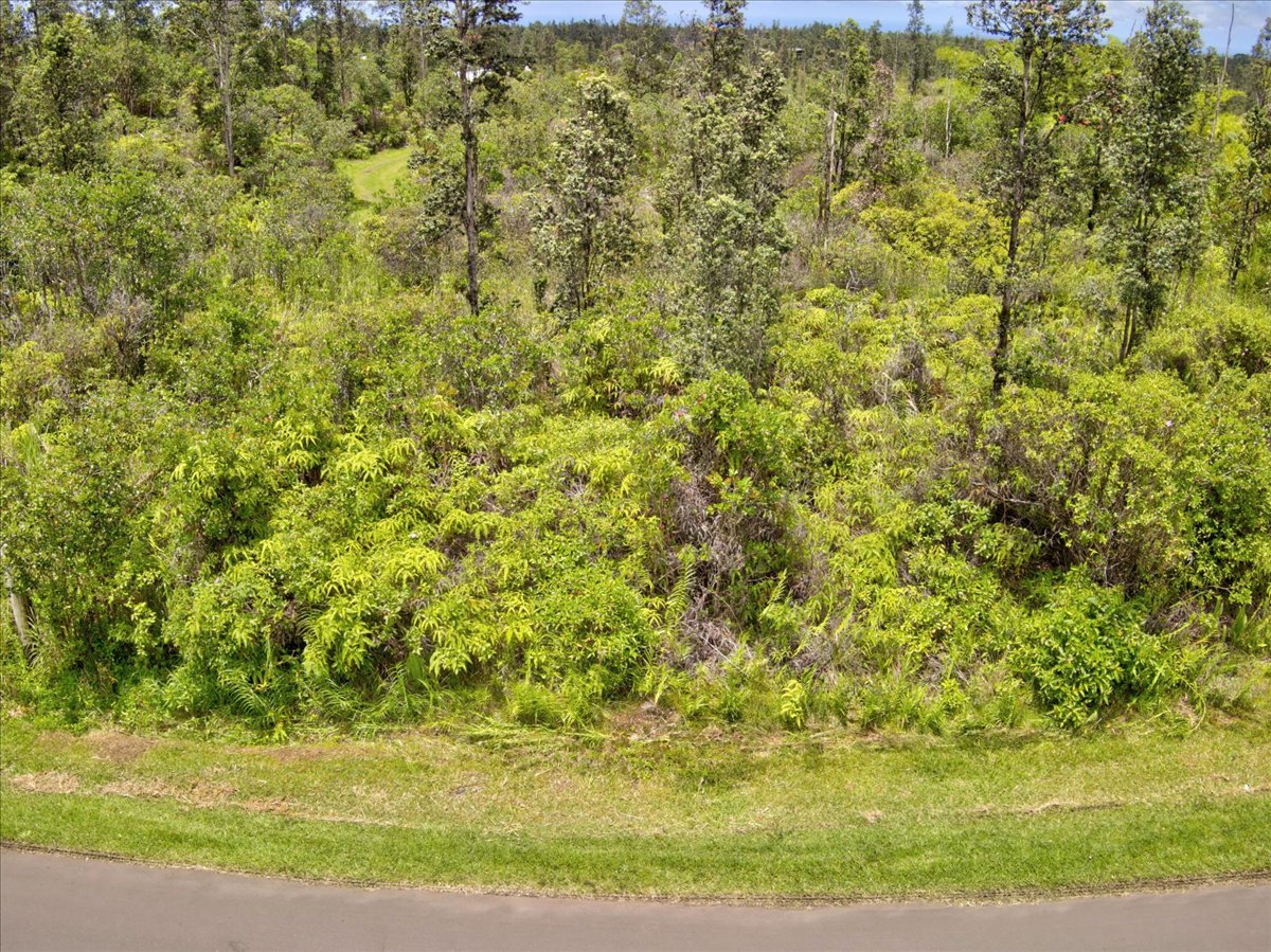 Plumeria St Property Photo 10
