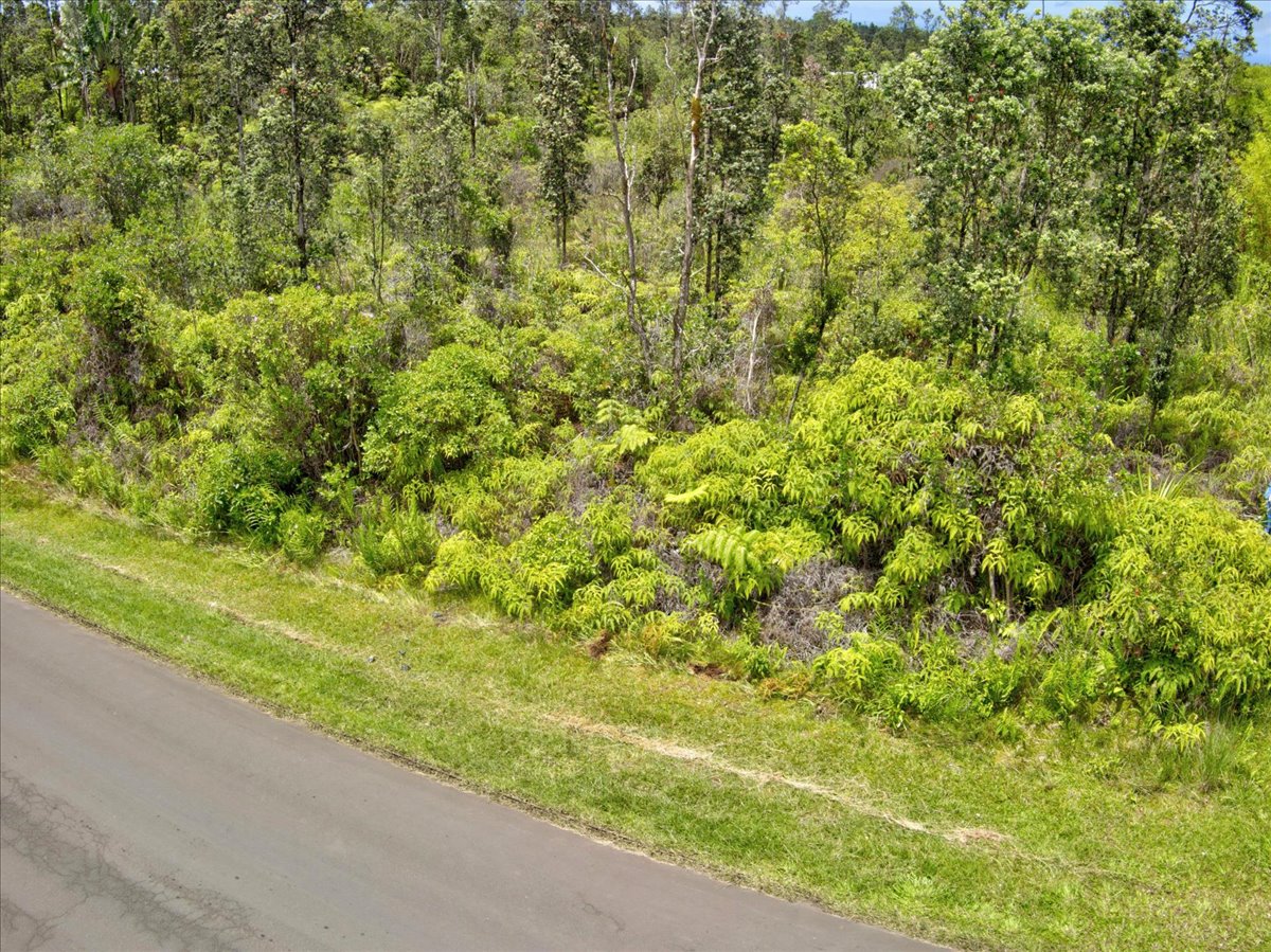 Plumeria St Property Photo 11