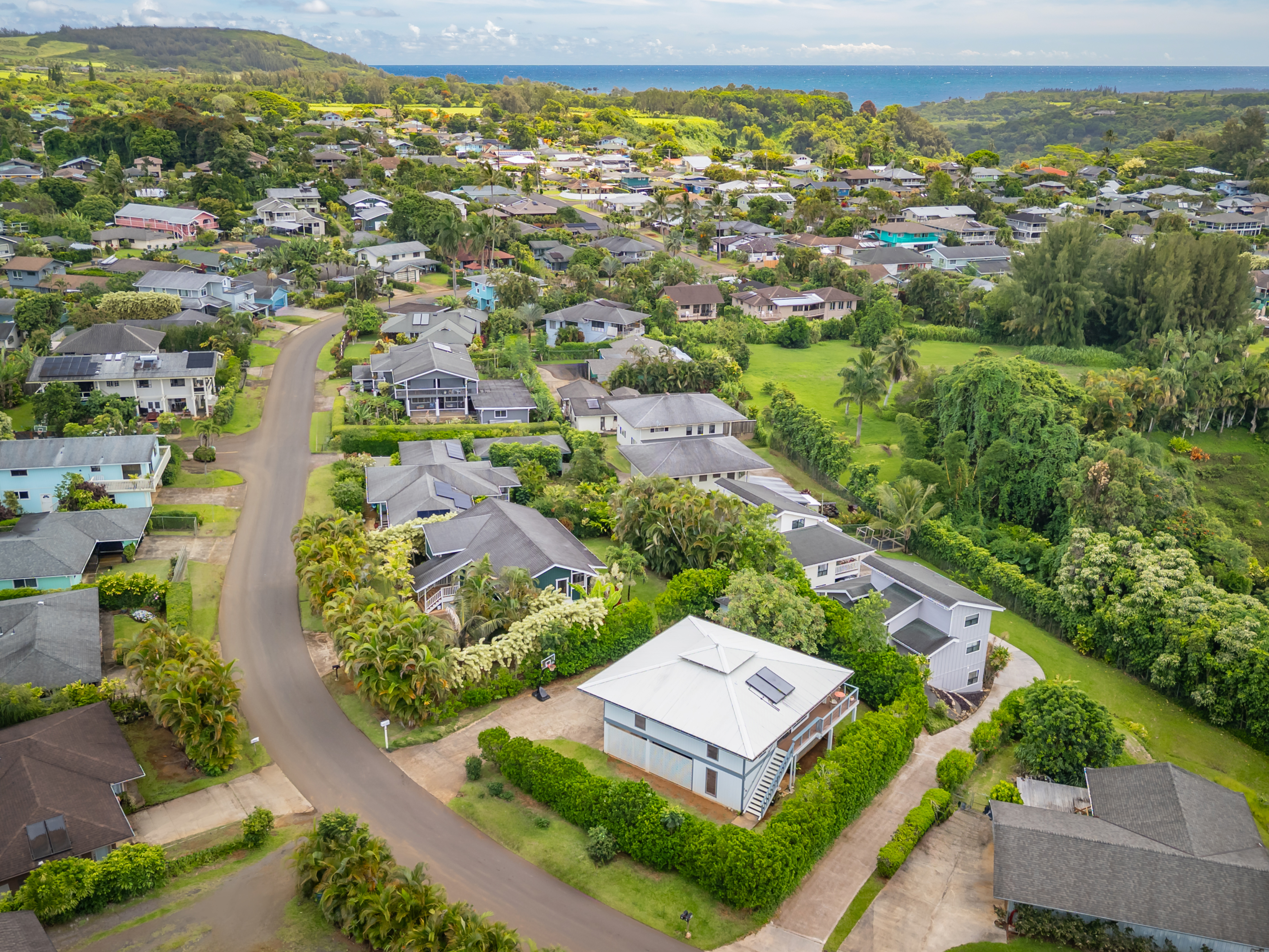 2471 Liliuokalani St Property Photo 23