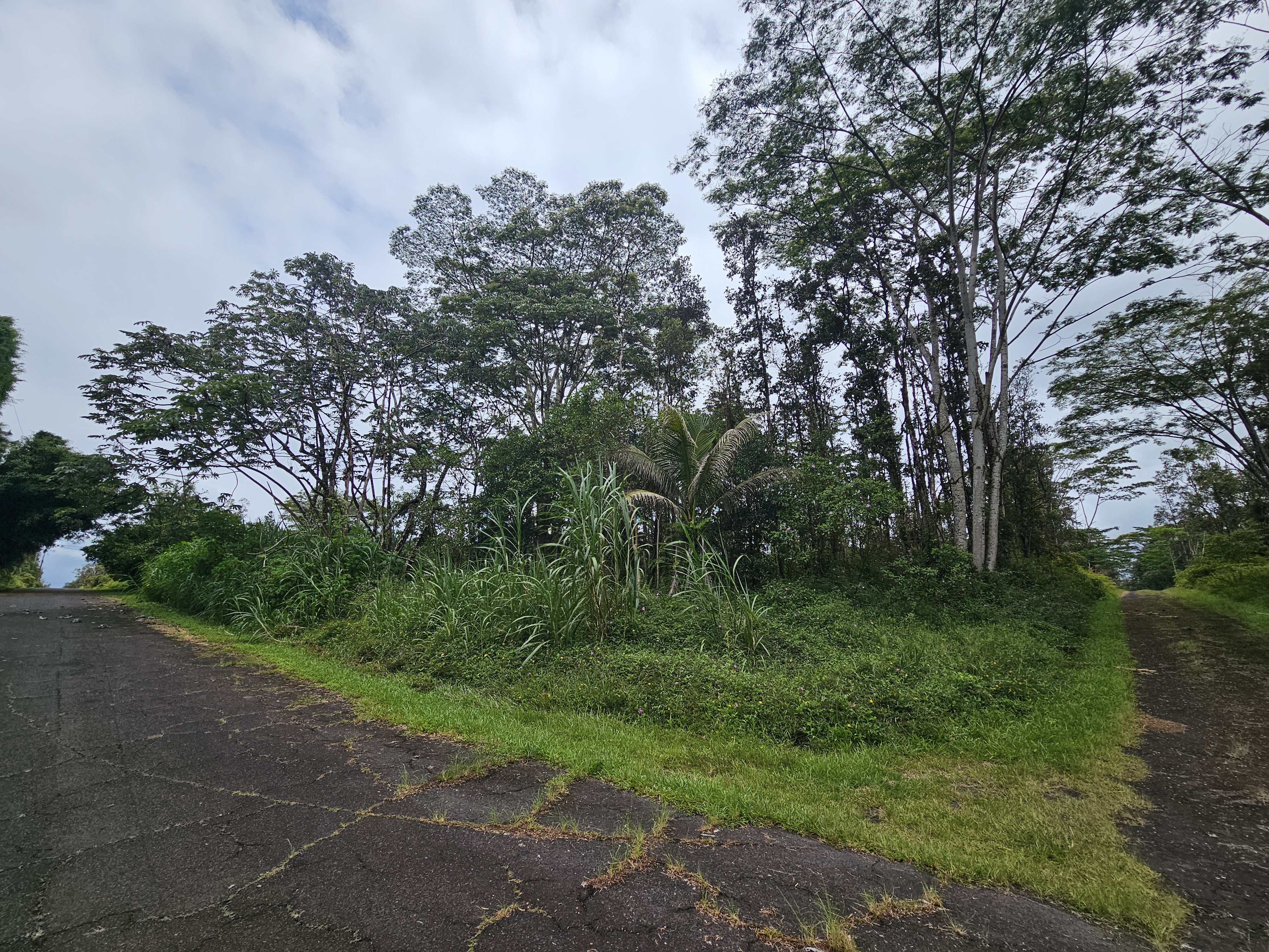 Pahoa Rd Property Photo 1