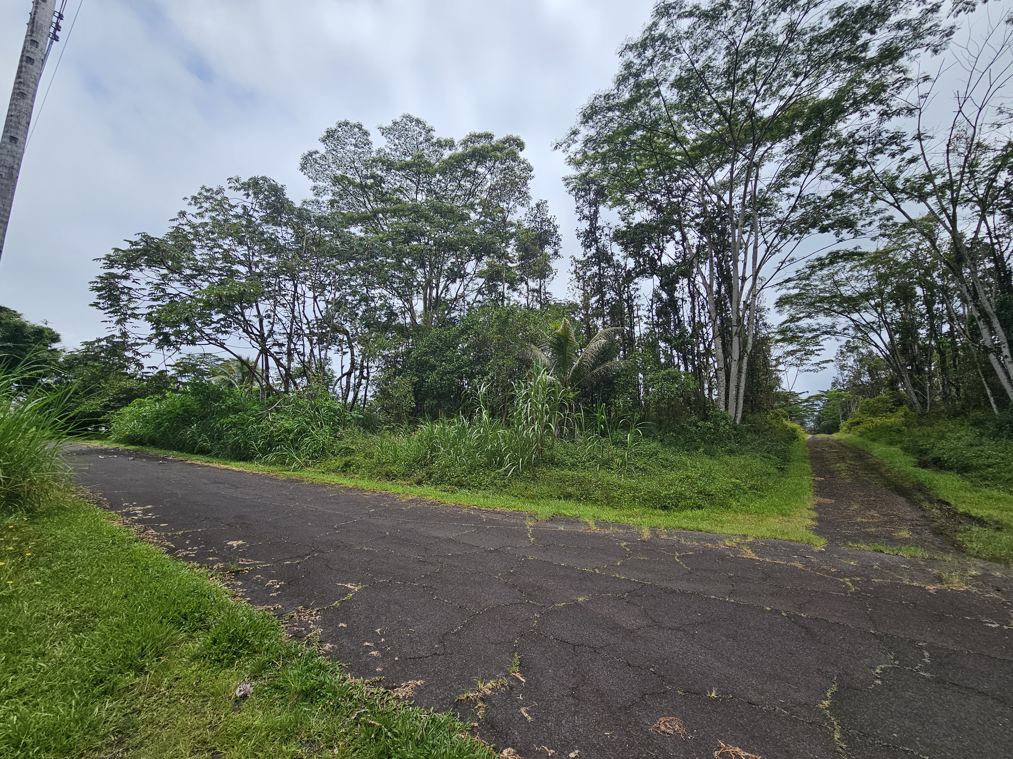 Pahoa Rd Property Photo 2
