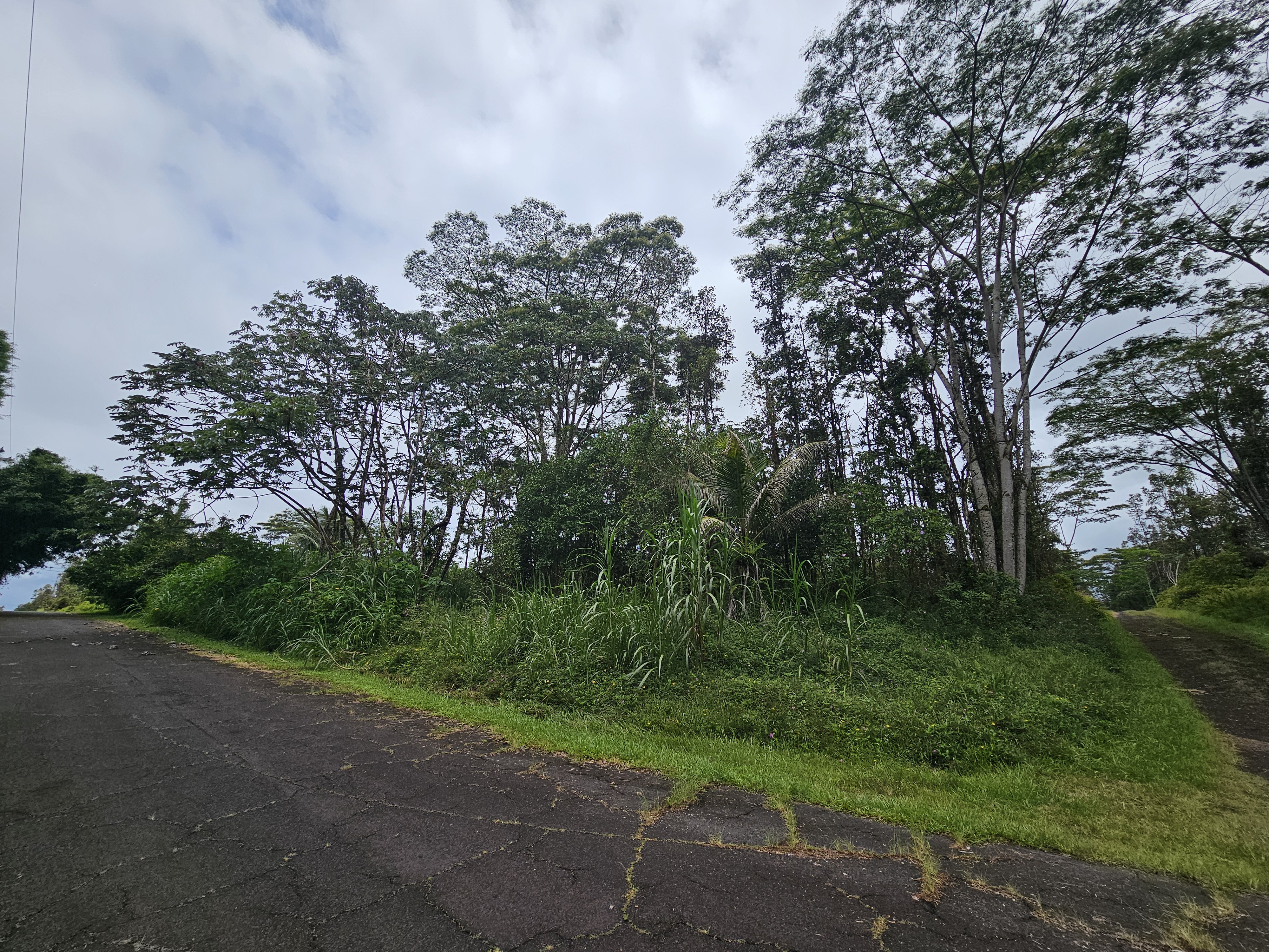 Pahoa Rd Property Photo 3