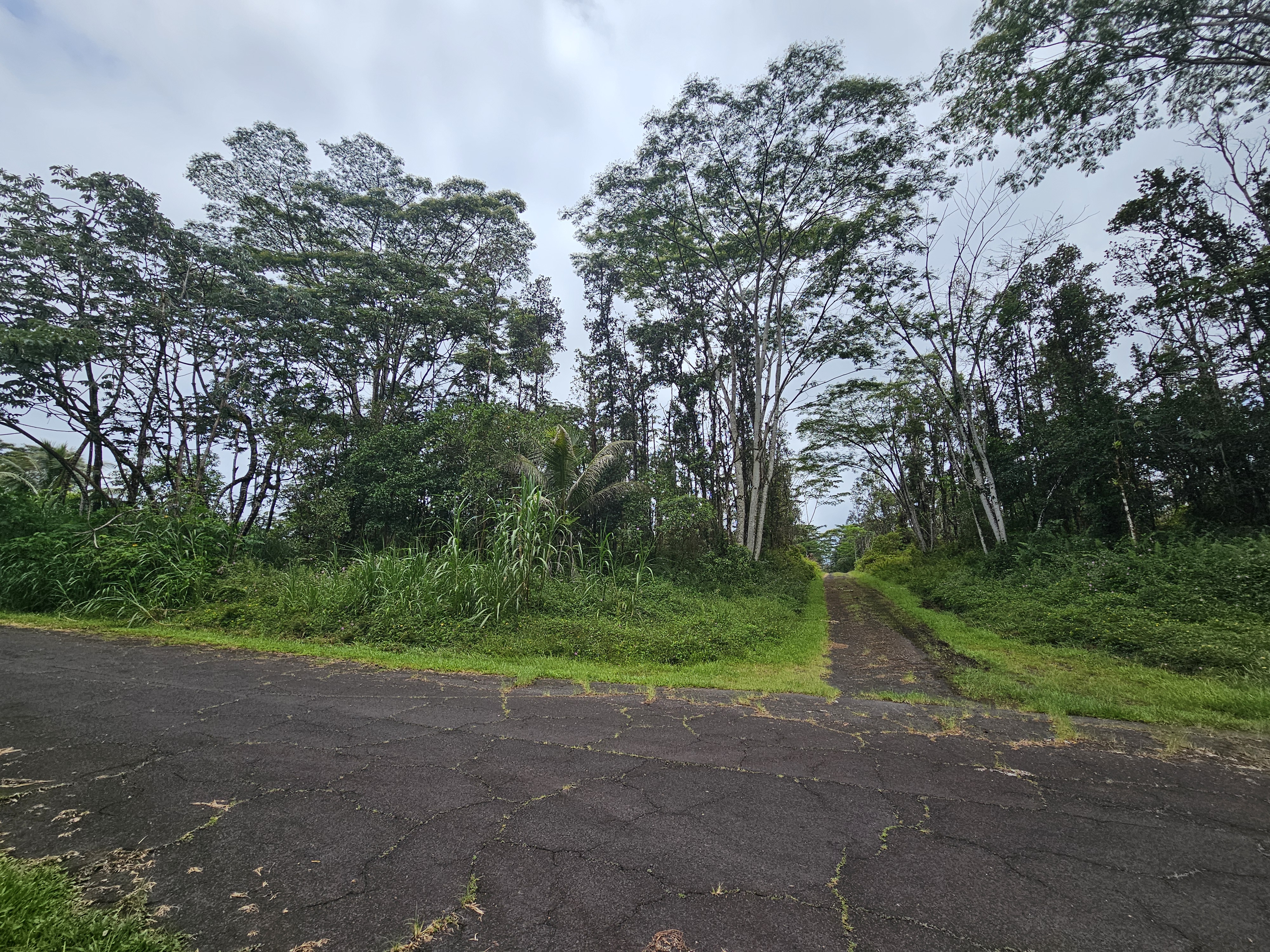 Pahoa Rd Property Photo 4