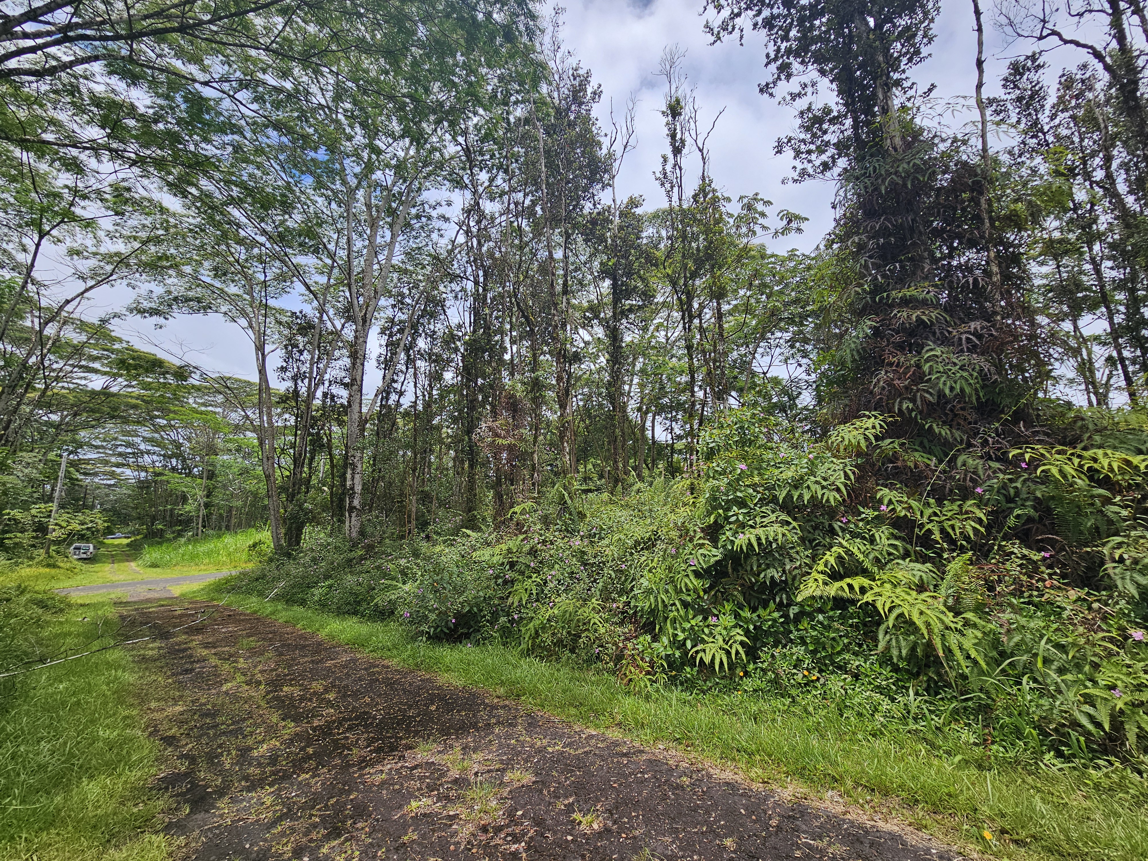 Pahoa Rd Property Photo 5