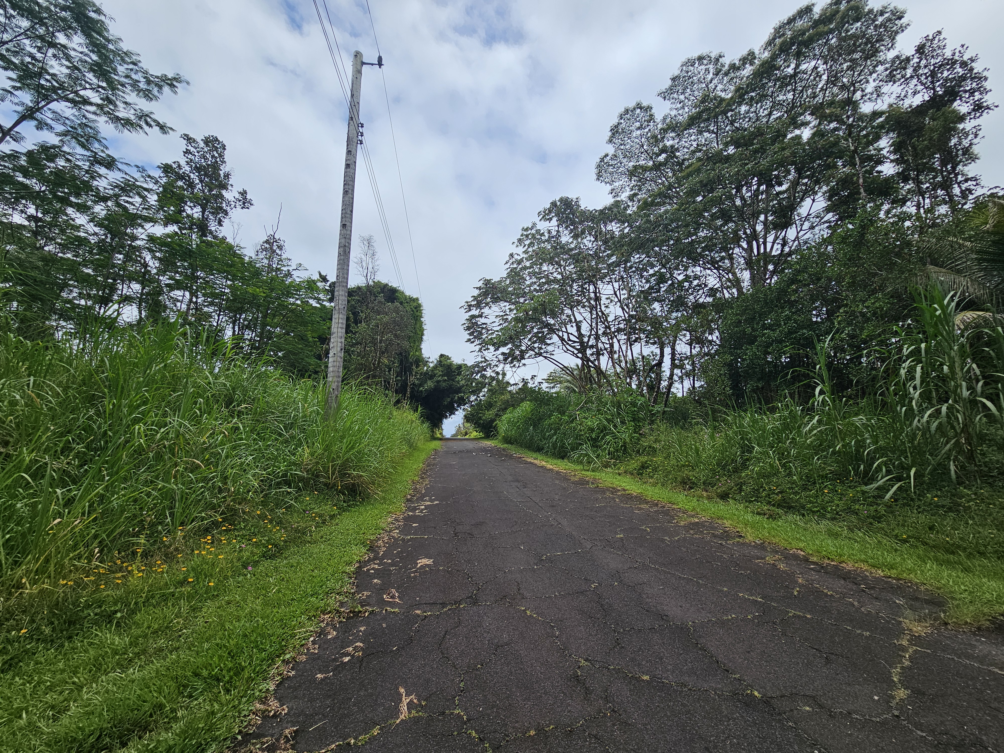 Pahoa Rd Property Photo 6