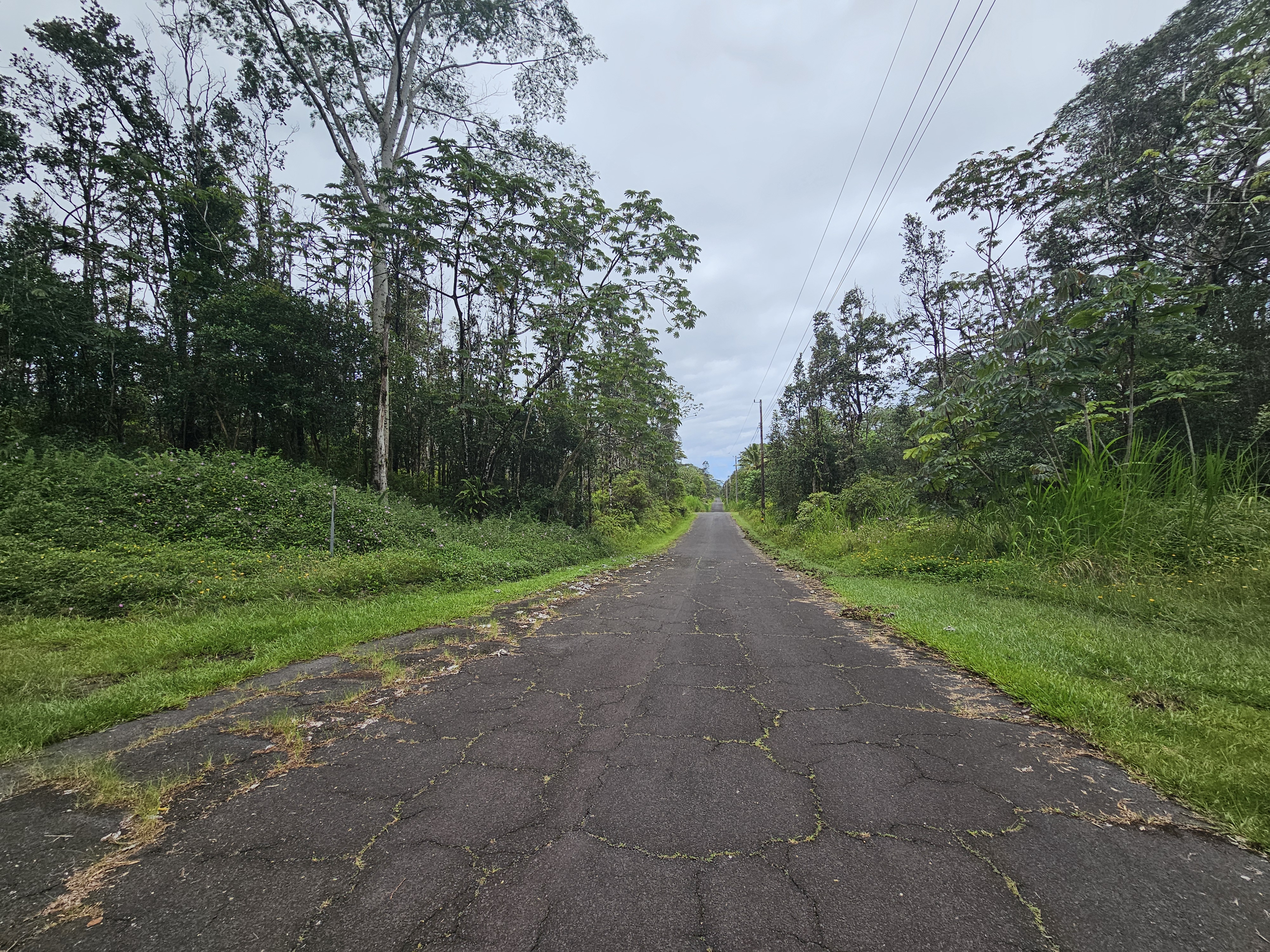 Pahoa Rd Property Photo 7