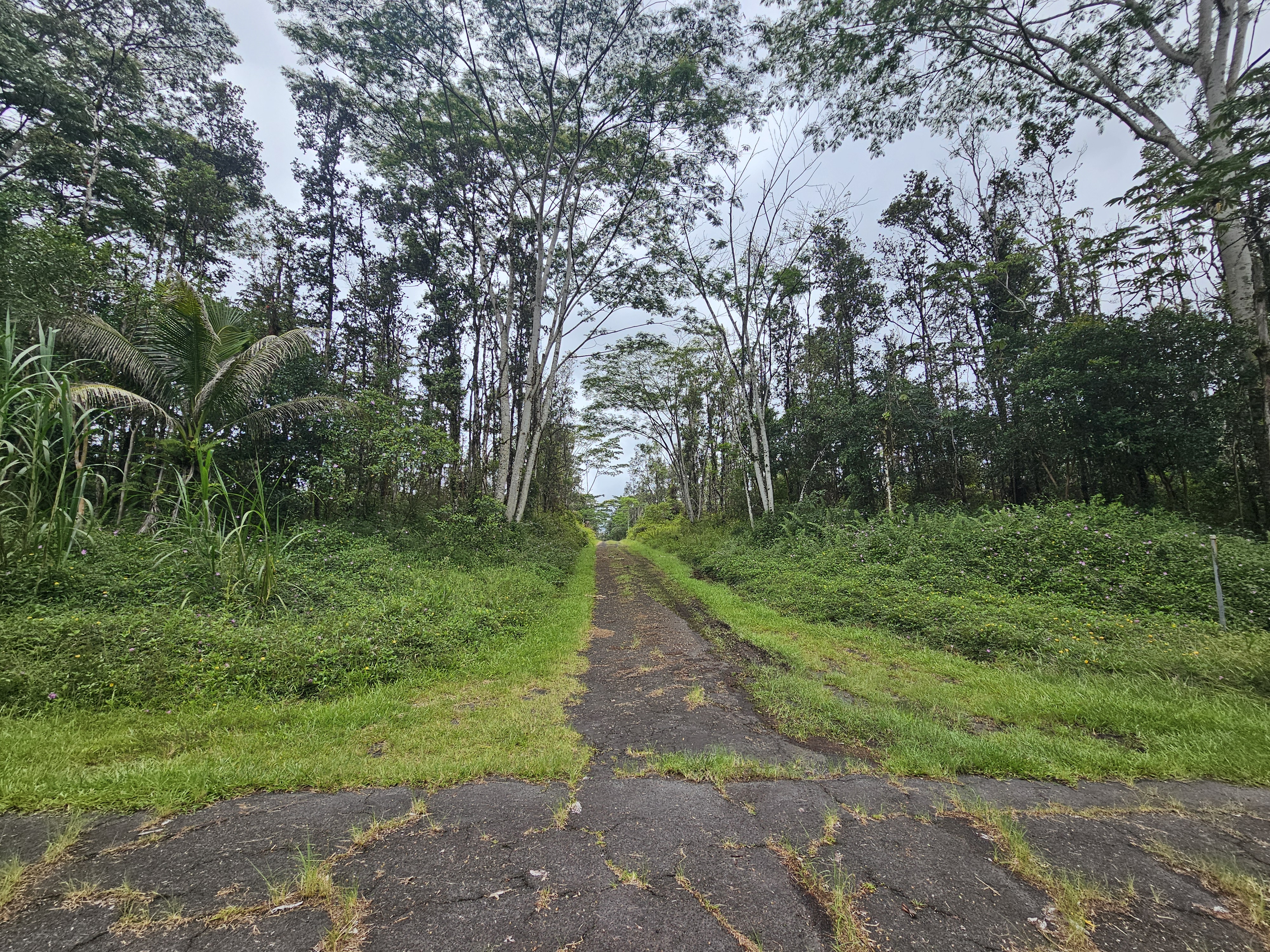 Pahoa Rd Property Photo 8