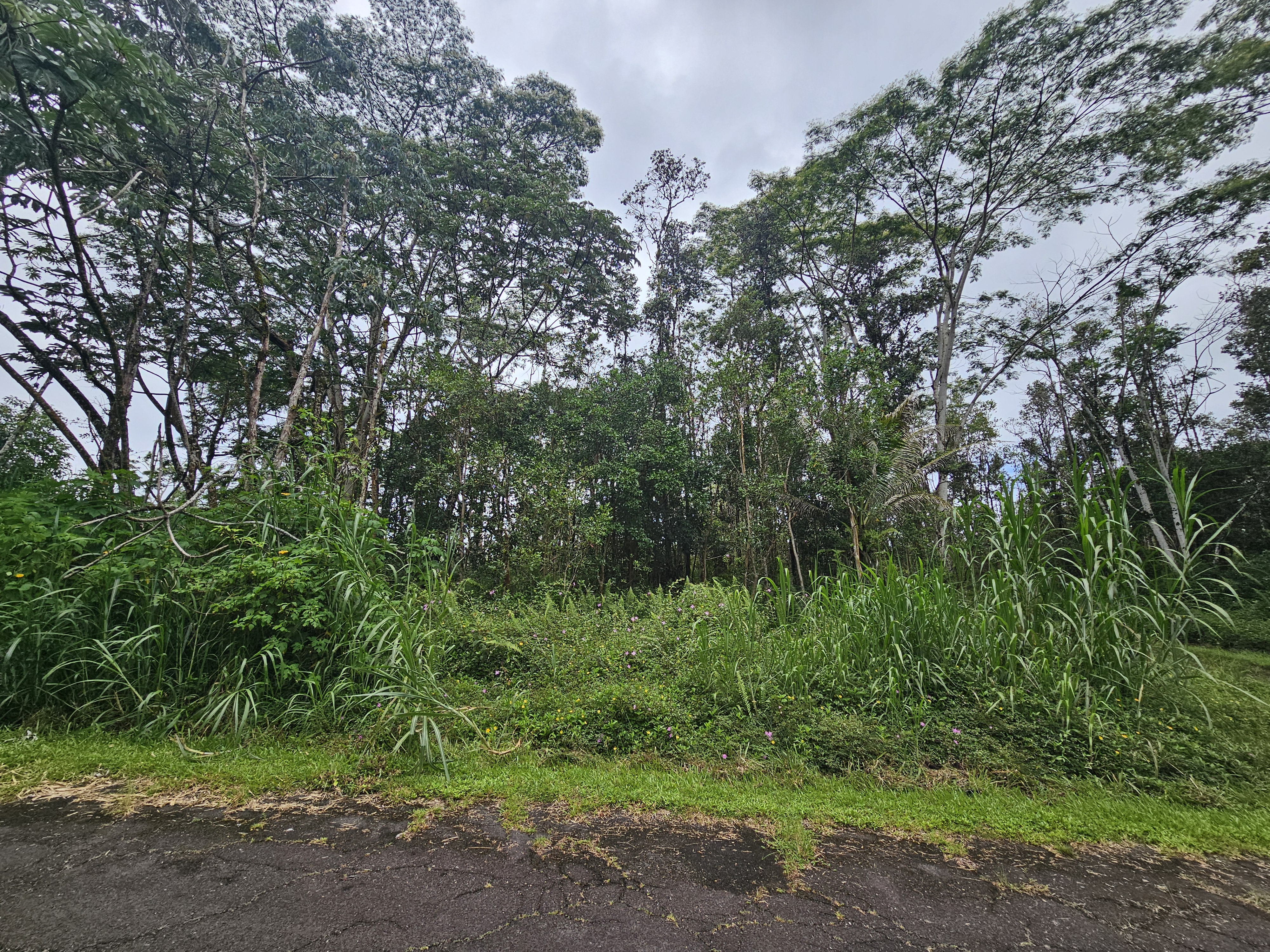 Pahoa Rd Property Photo 9