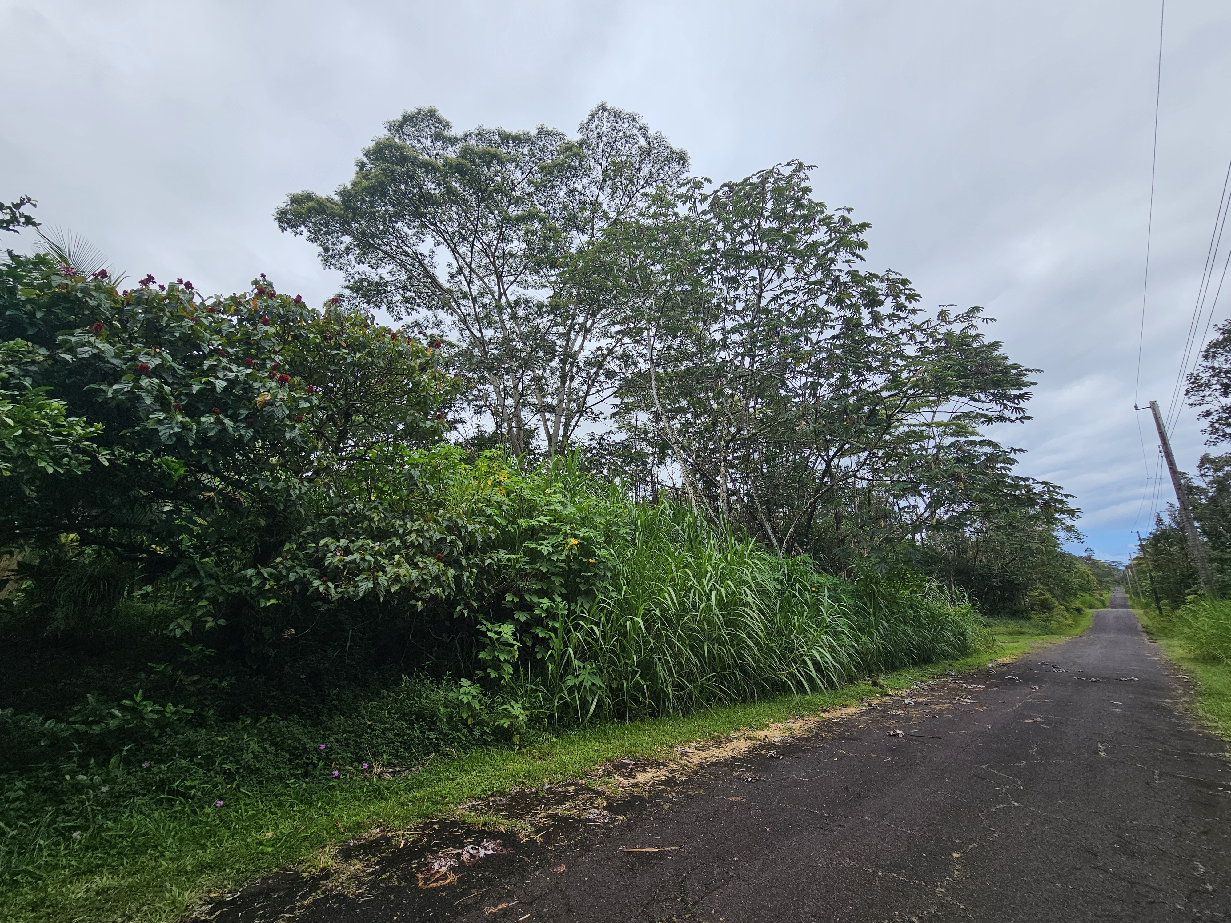 Pahoa Rd Property Photo 11