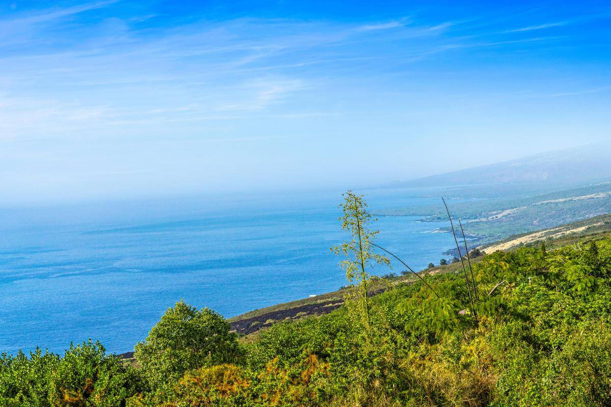 87-3143 Hawaii Belt Rd Property Photo 11