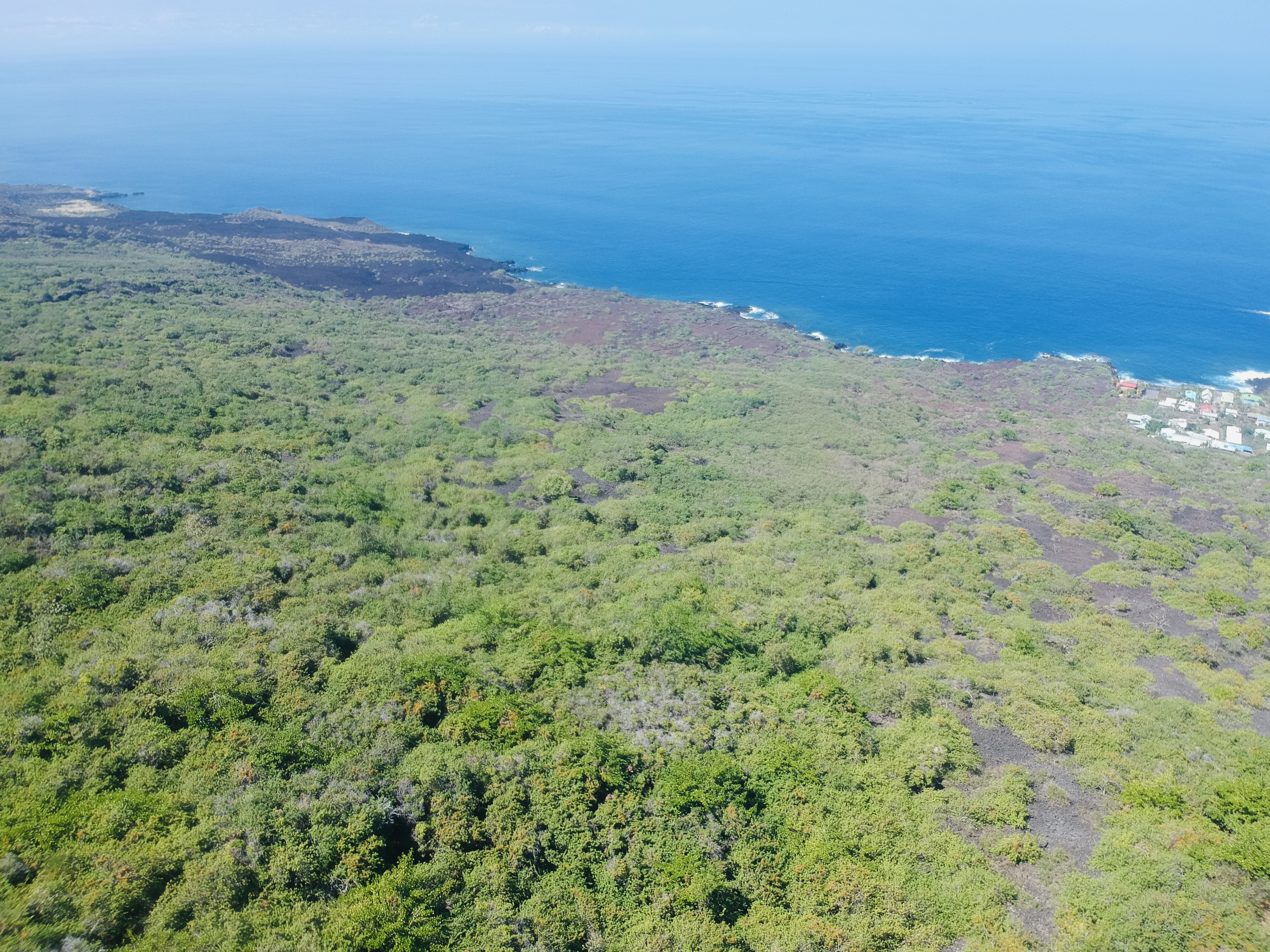 87-3143 Hawaii Belt Rd Property Photo 14