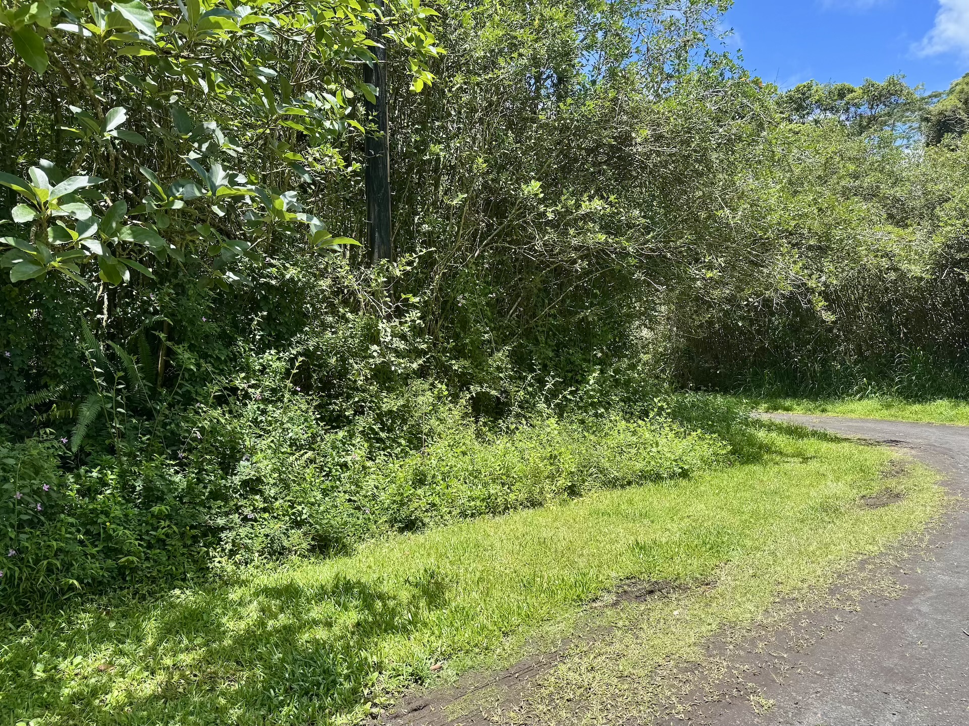 Lanai Rd Property Photo 1