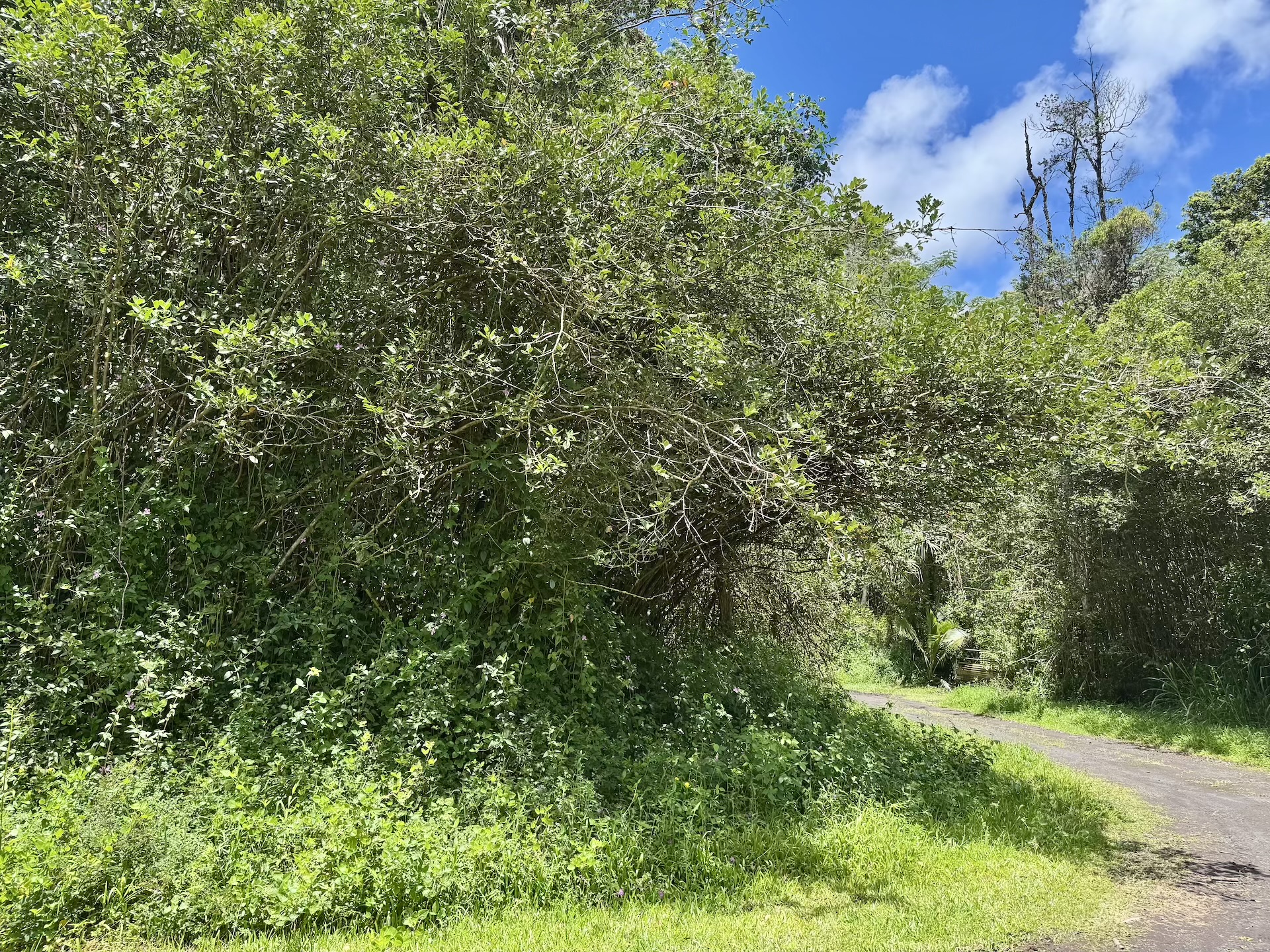 Lanai Rd Property Photo 2