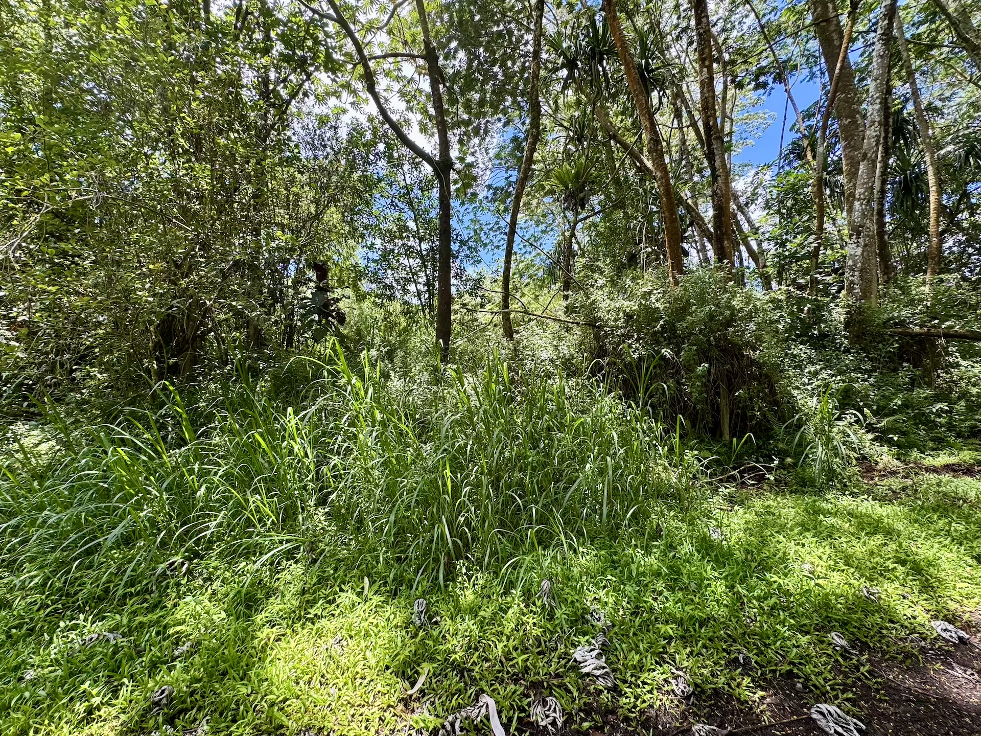 Lanai Rd Property Photo 4