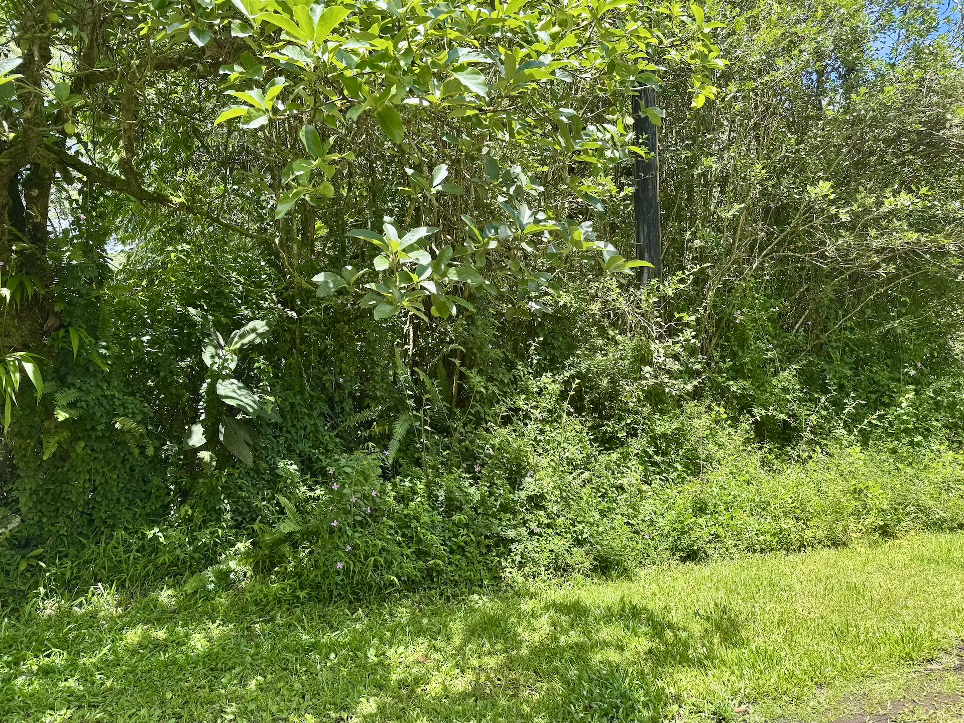 Lanai Rd Property Photo 9