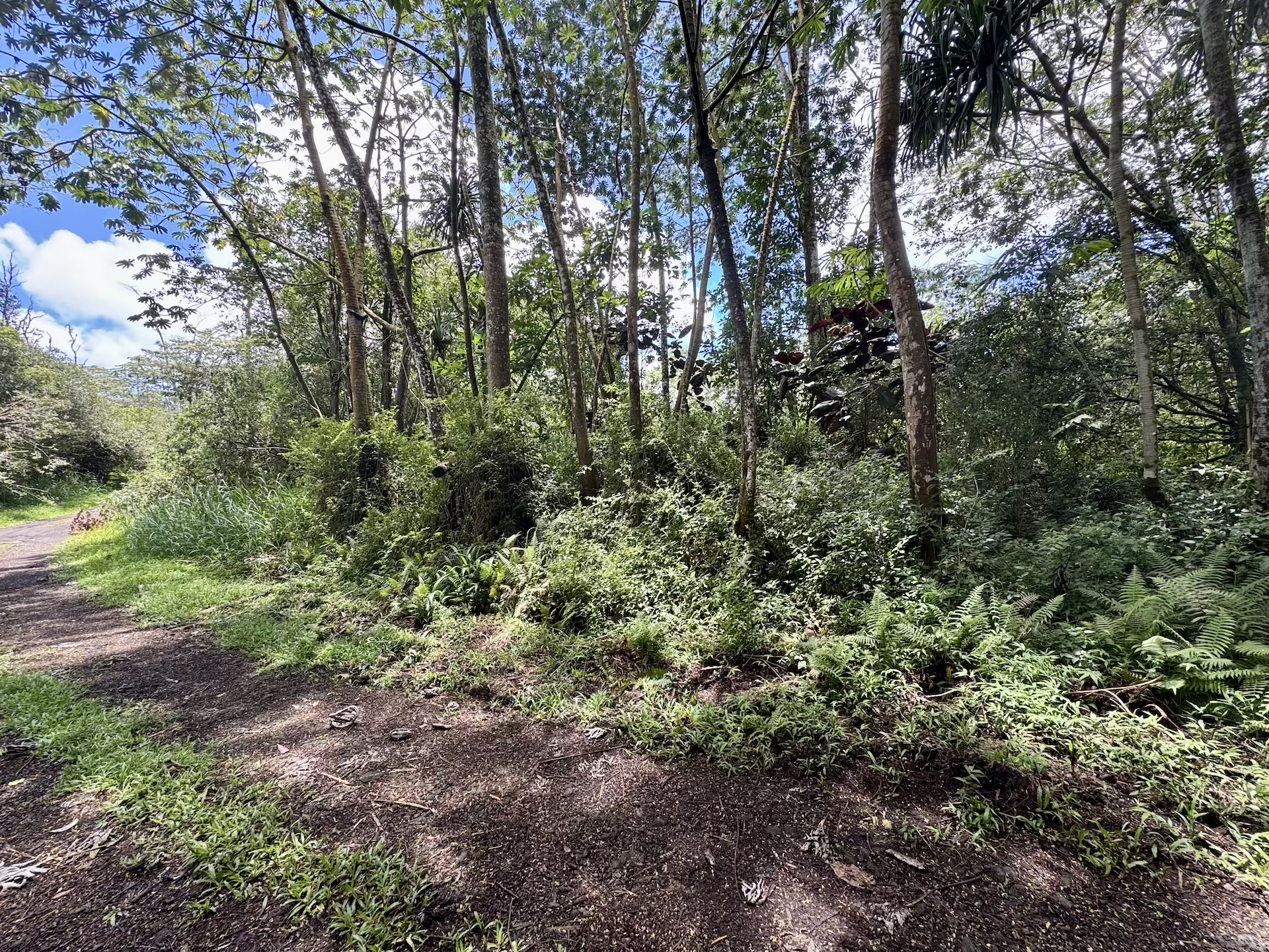 Lanai Rd Property Photo 12