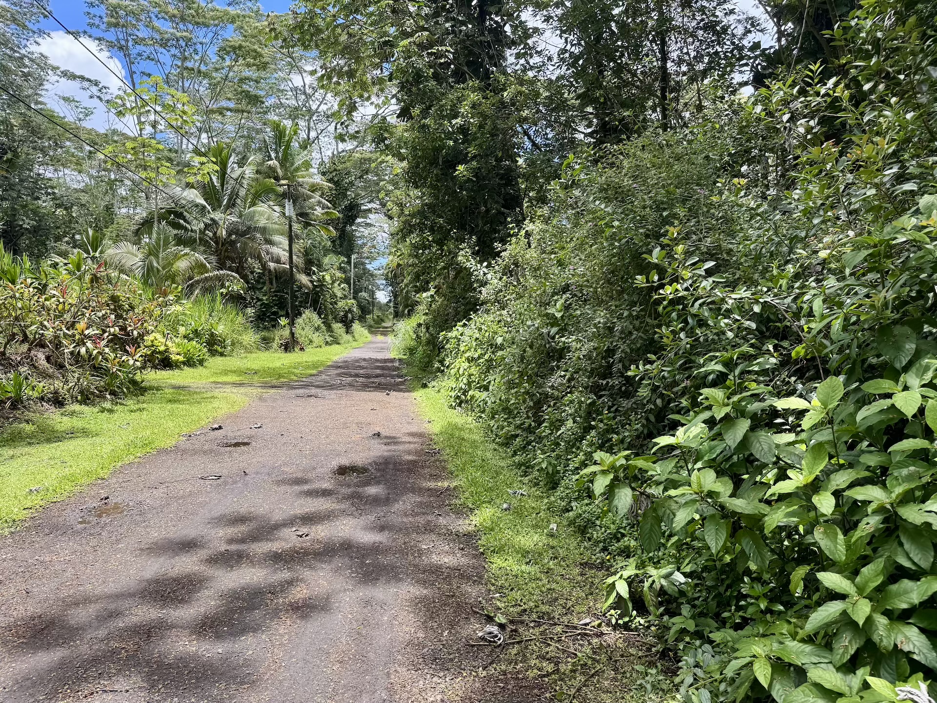 Lanai Rd Property Photo 13