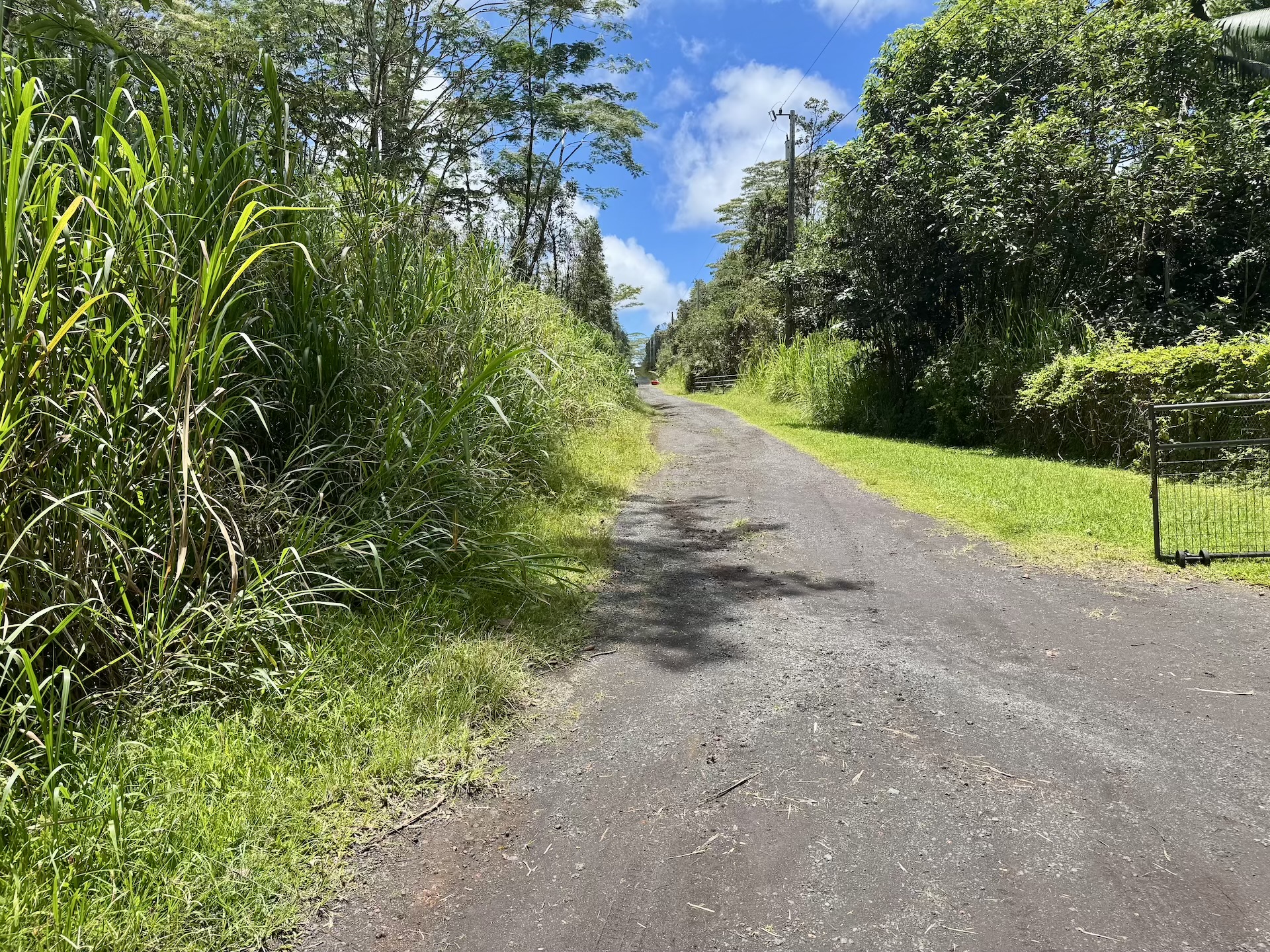 Lanai Rd Property Photo 14