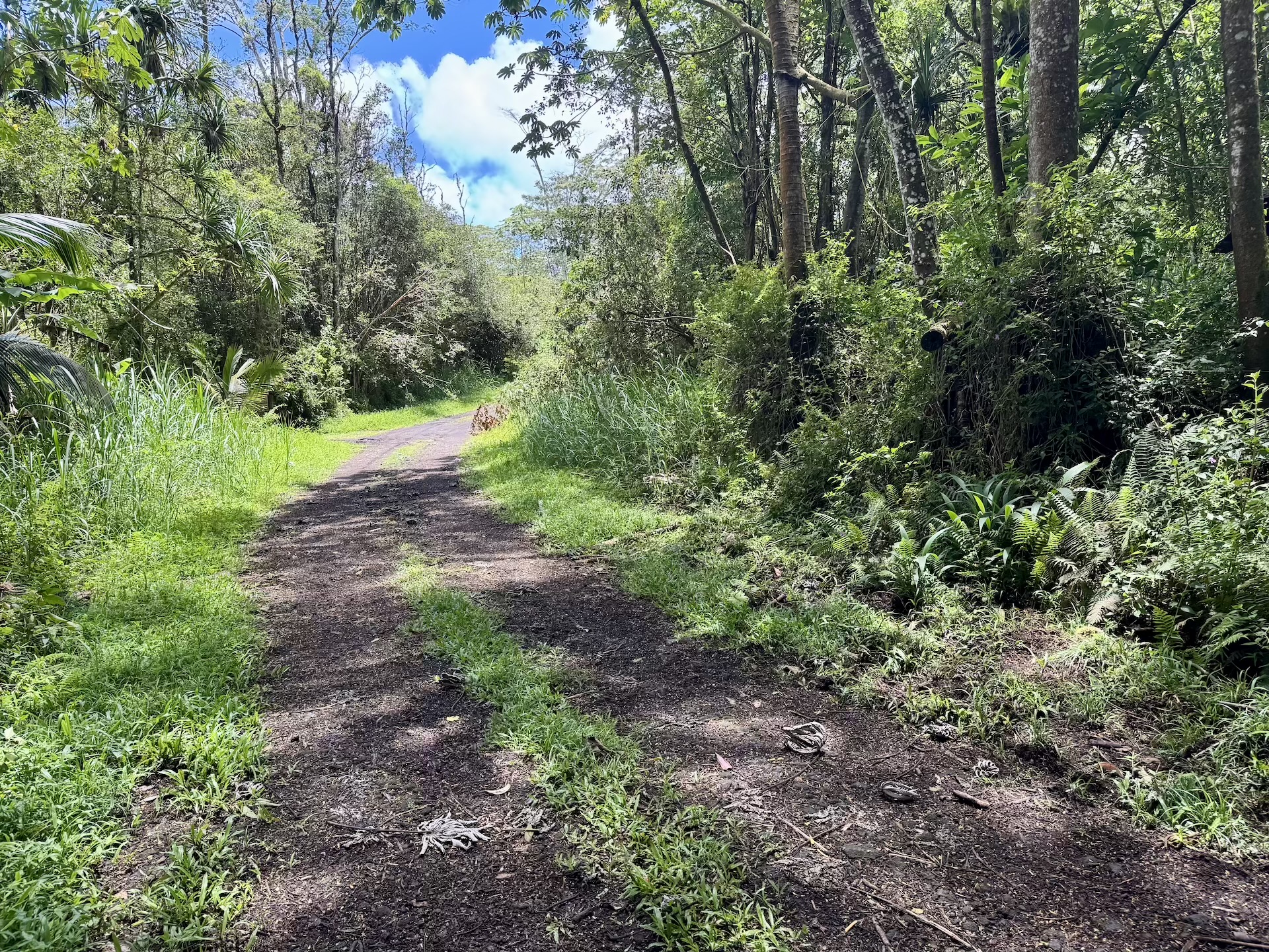 Lanai Rd Property Photo 15