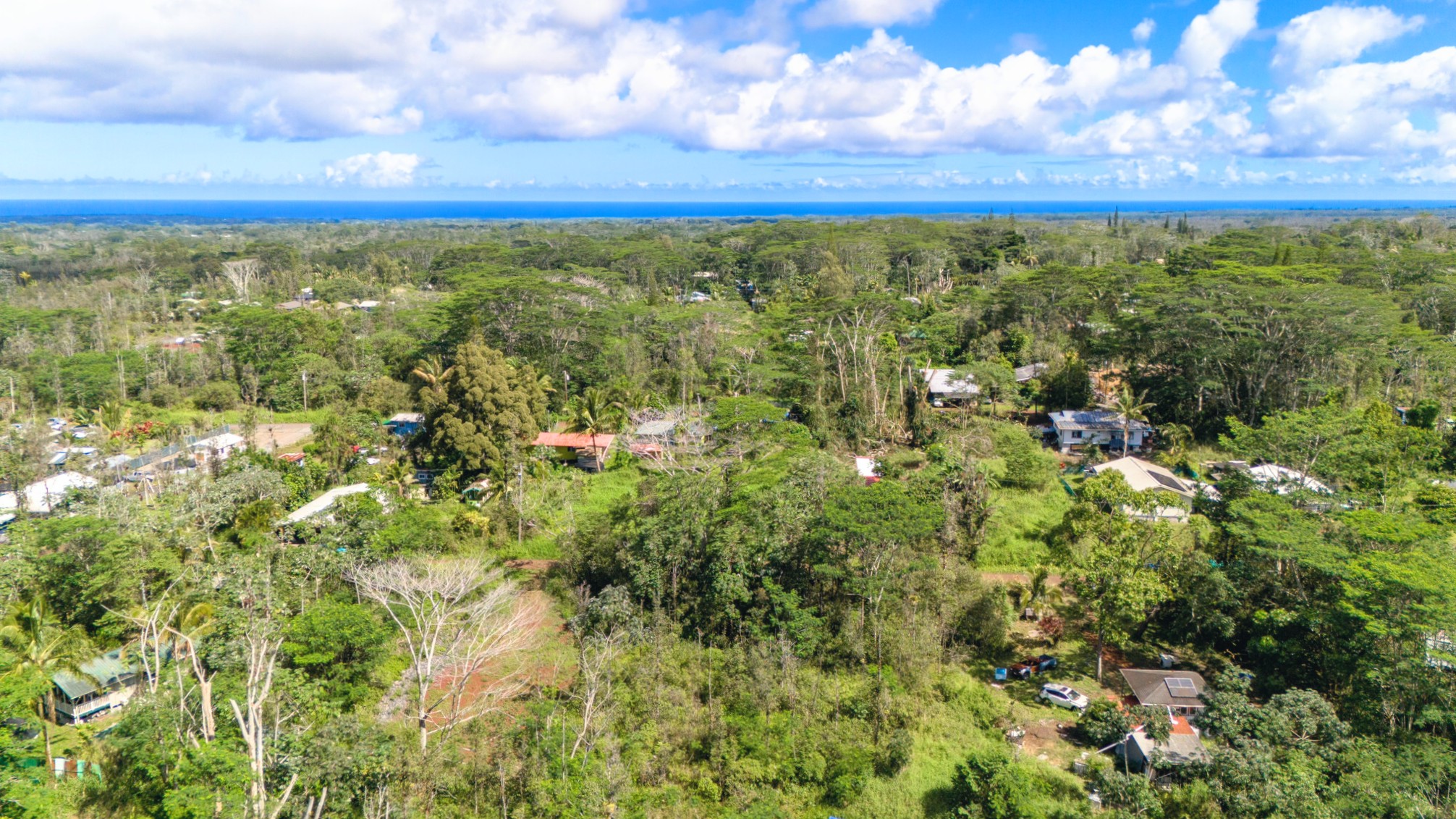 Silversword Ct Property Photo 14