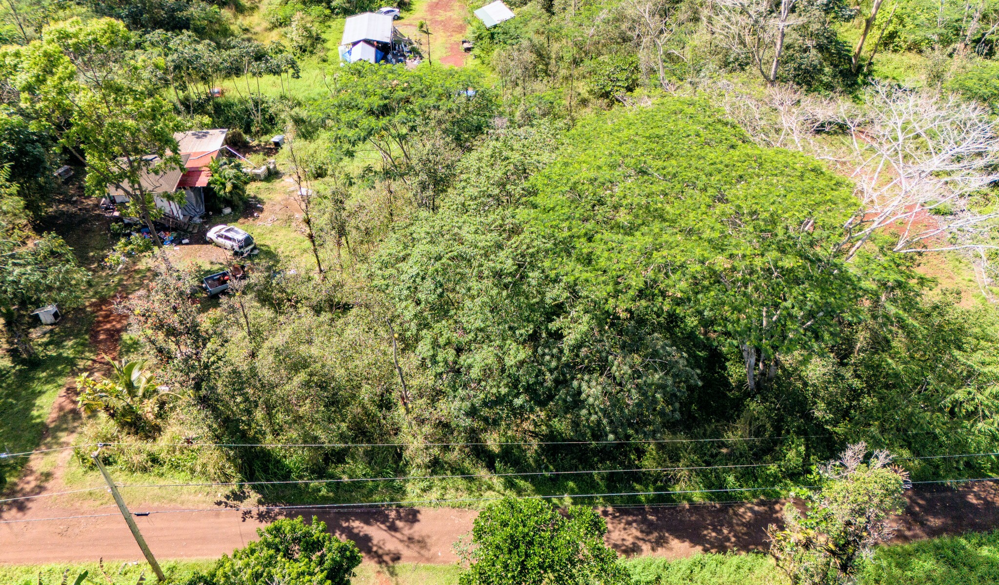 Silversword Ct Property Photo 16
