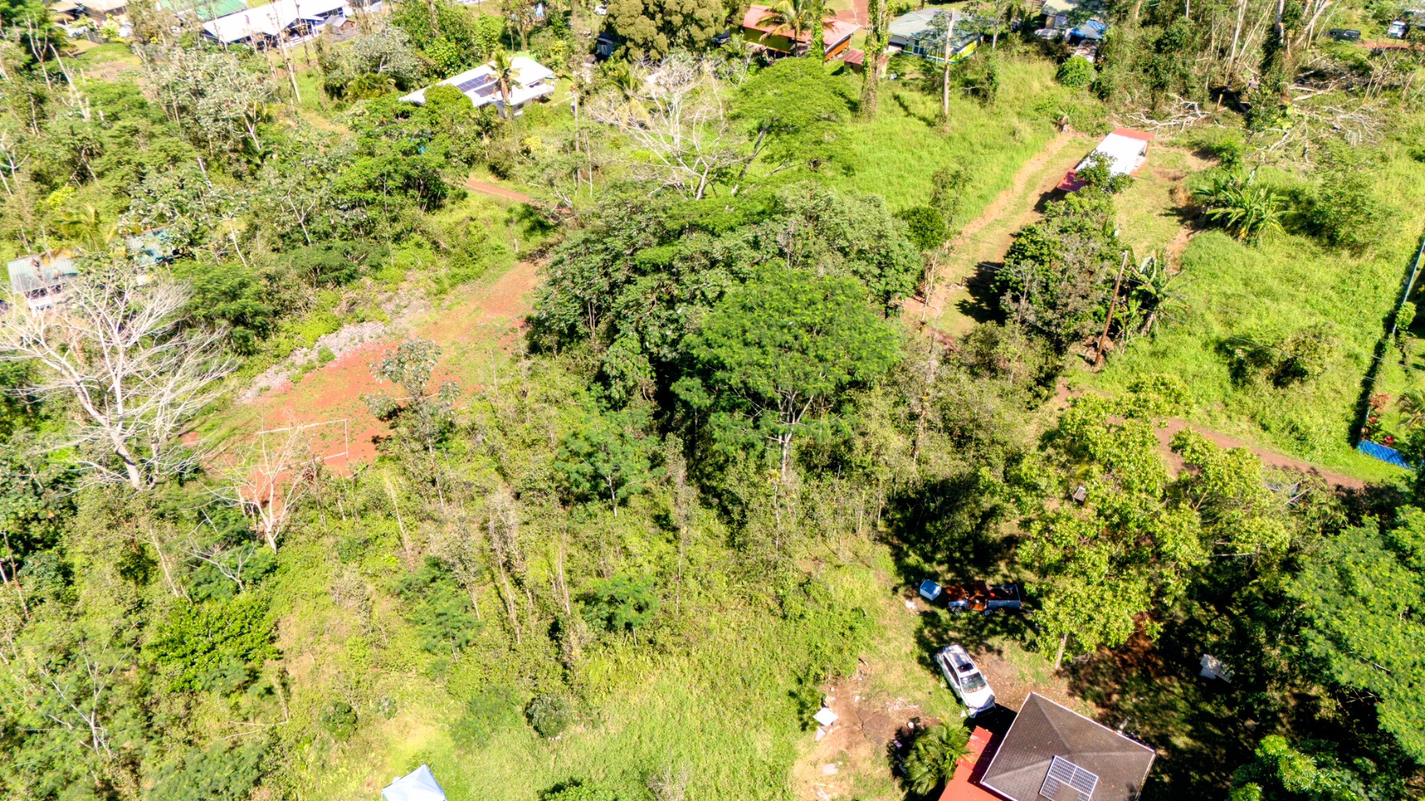 Silversword Ct Property Photo 18