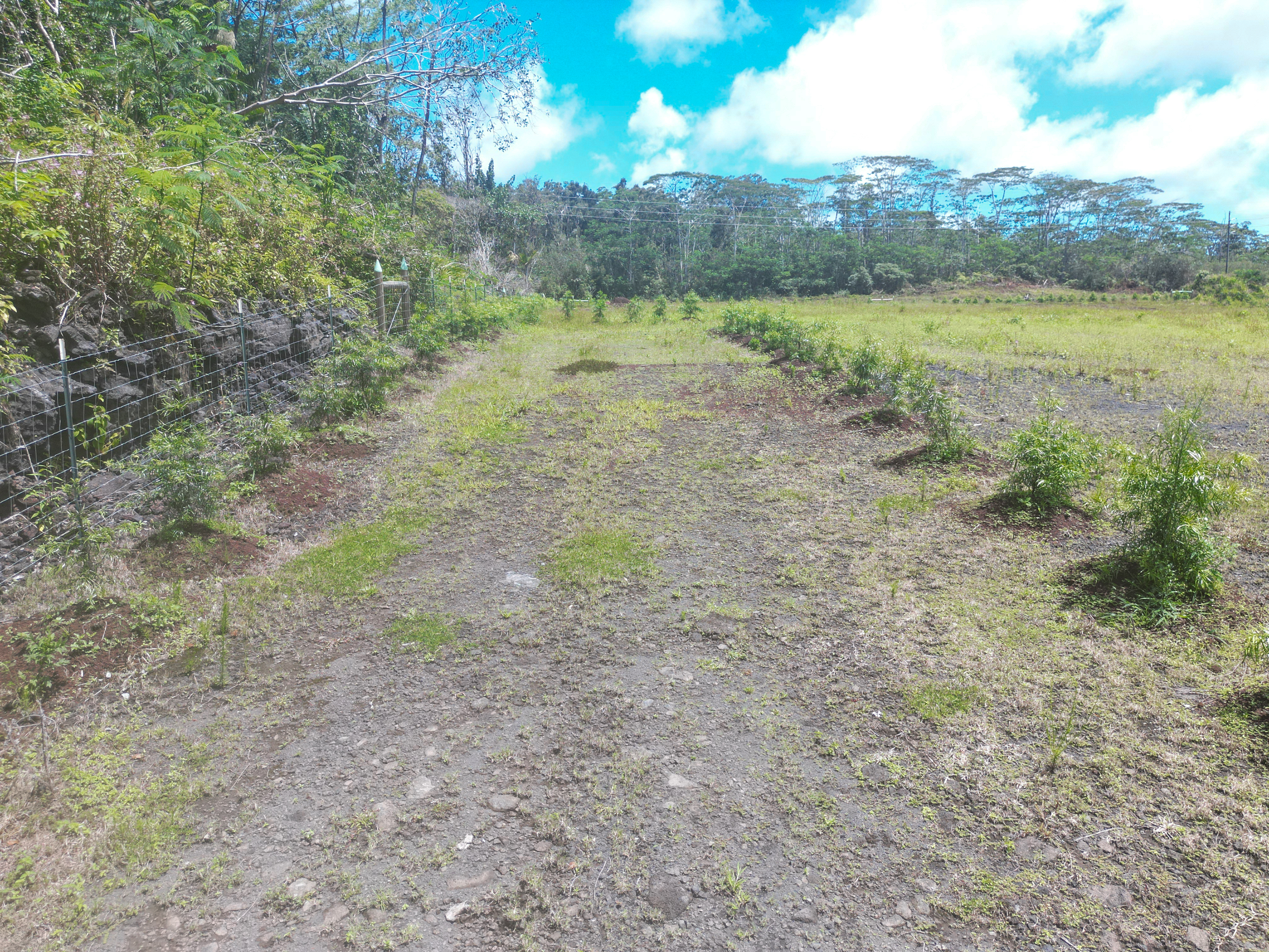 Kahukai St Property Photo 8