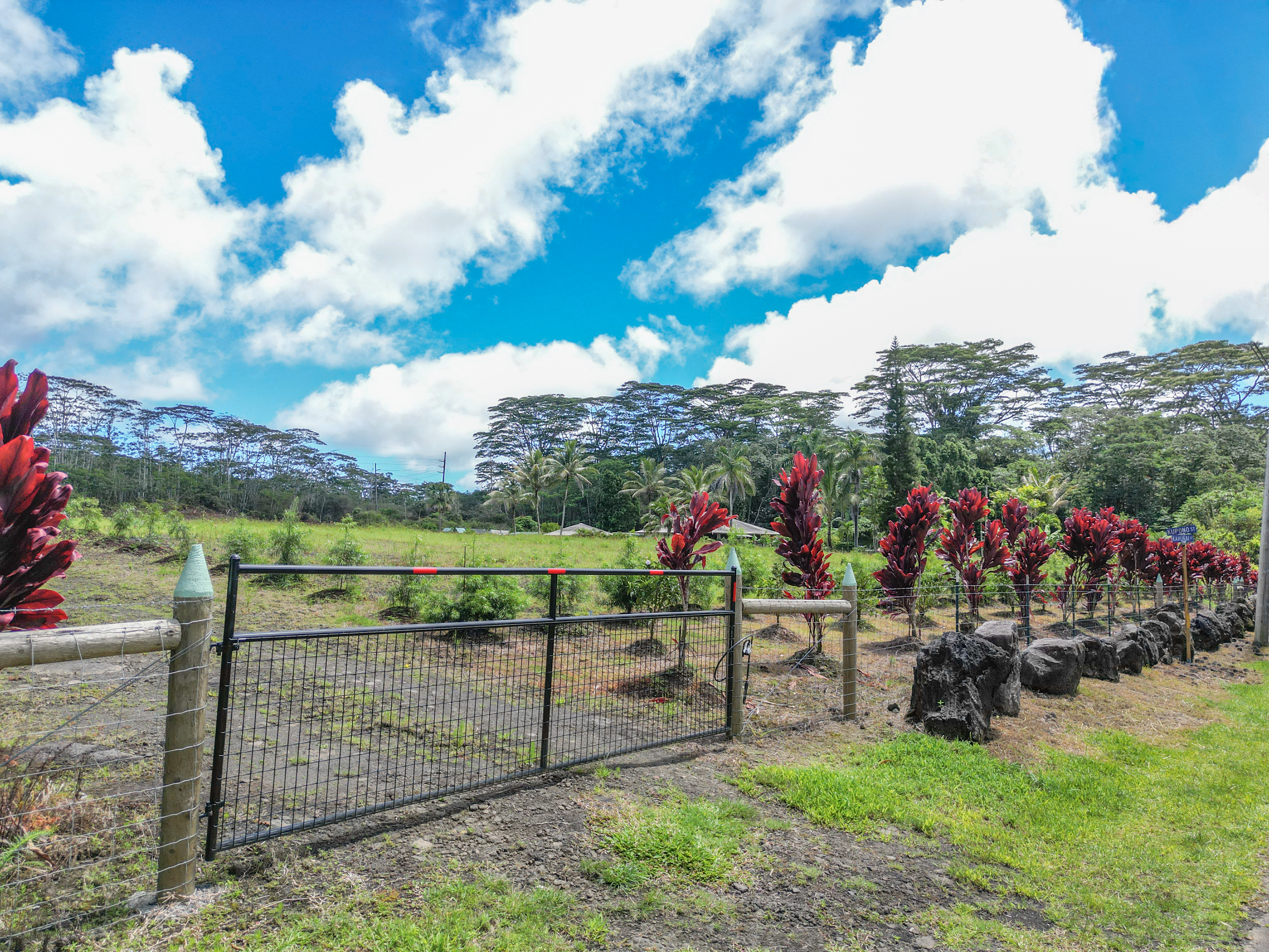 Kahukai St Property Photo 2