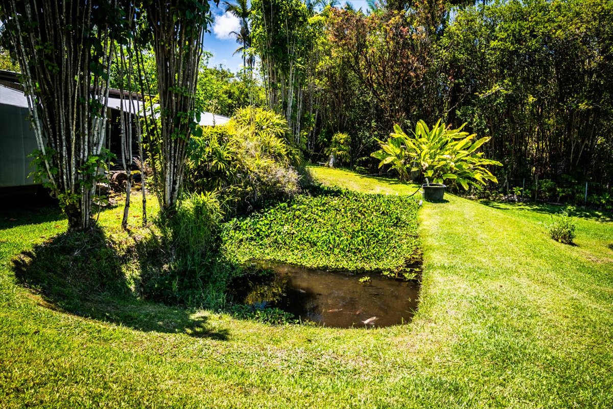 29-2612 Kaiwiki Homestead Rd Property Photo 27
