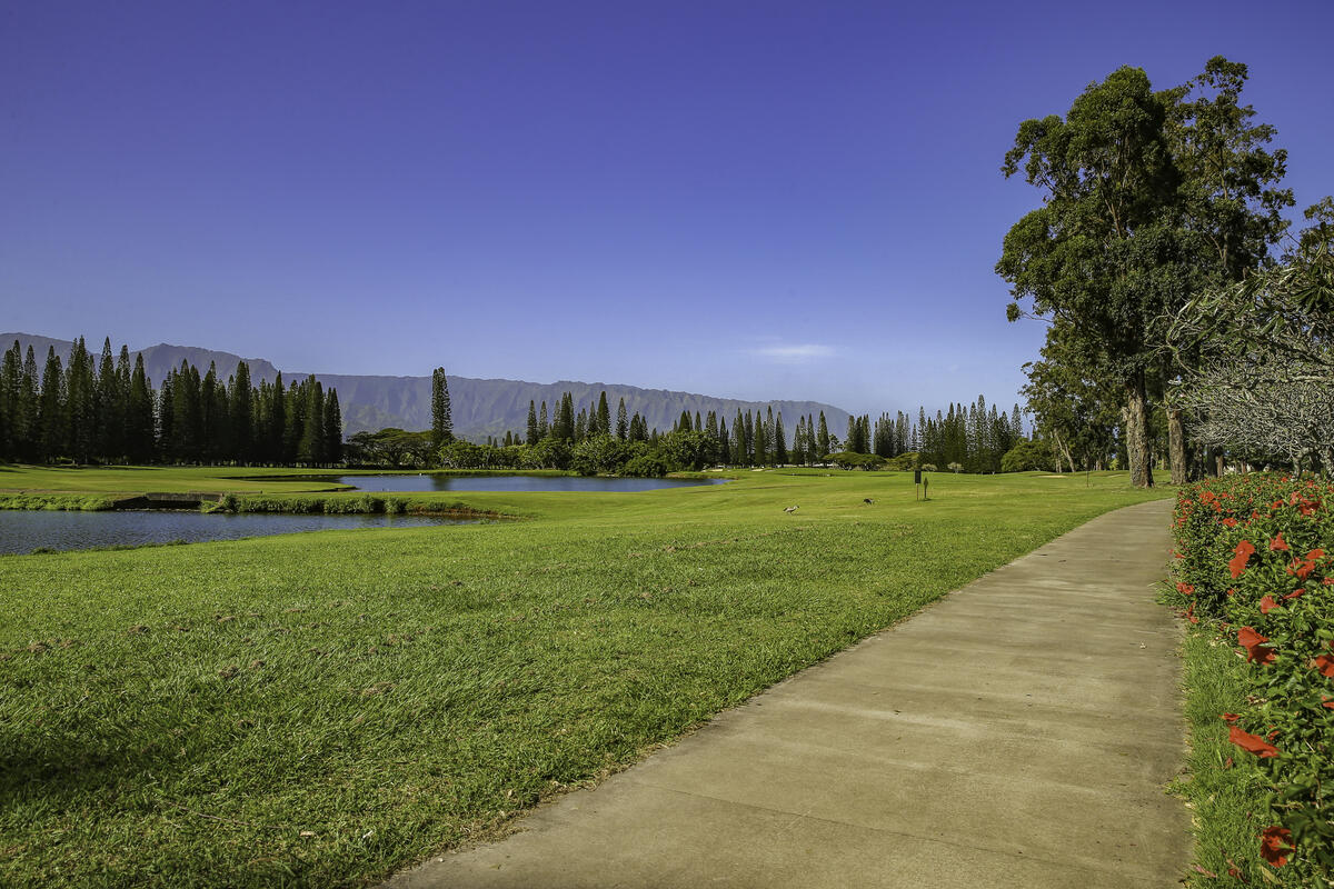 4480 Ka Haku Rd 114 Property Photo 23