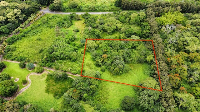 Opihikau Rd Property Photo 4