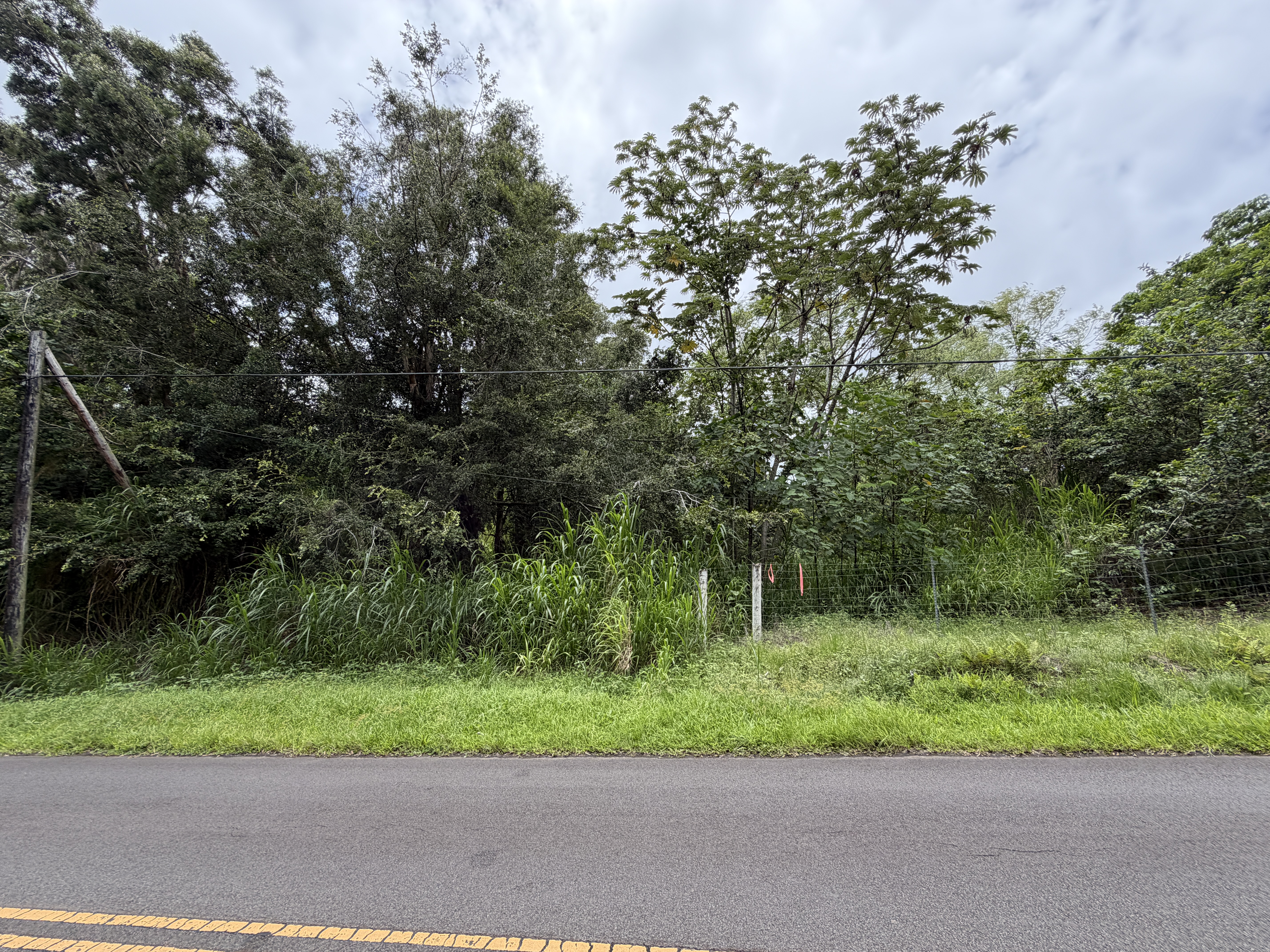 Opihikau Rd Property Photo 6