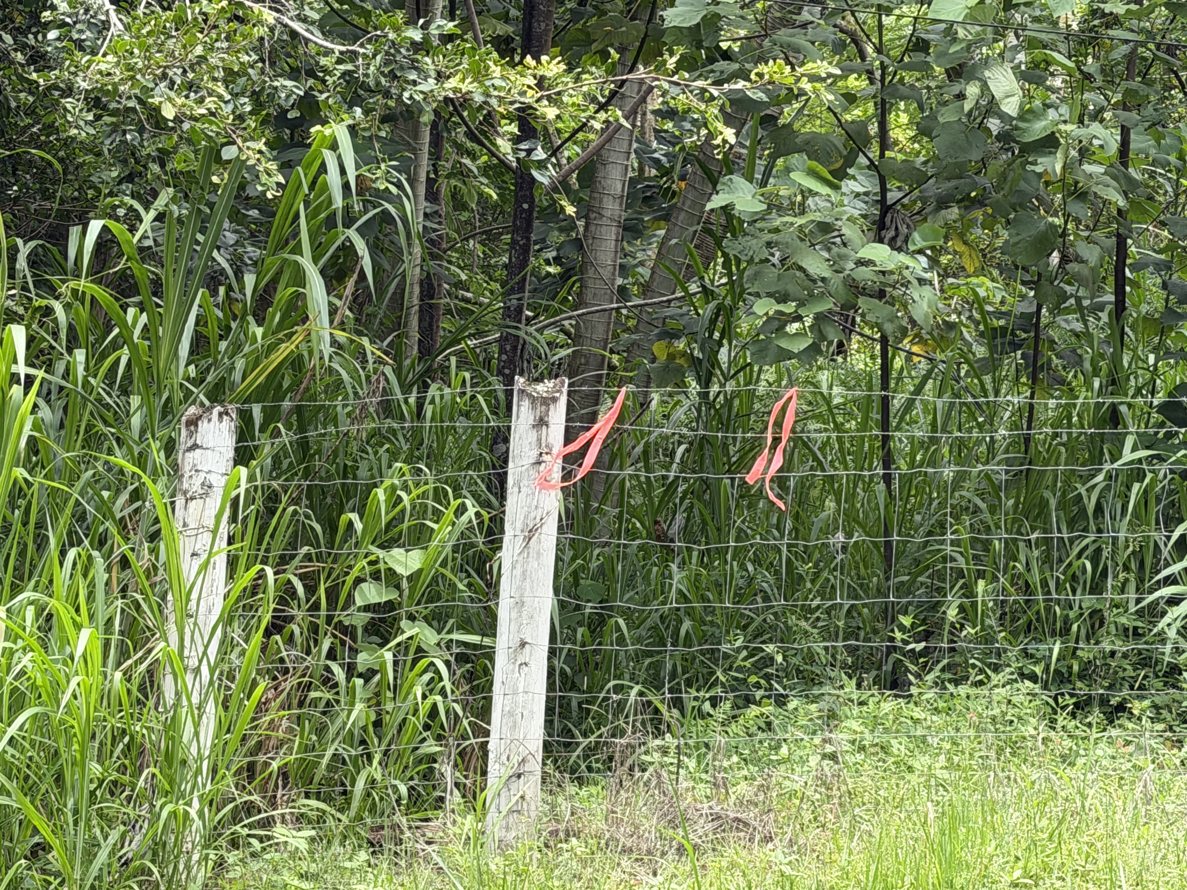 Opihikau Rd Property Photo 7