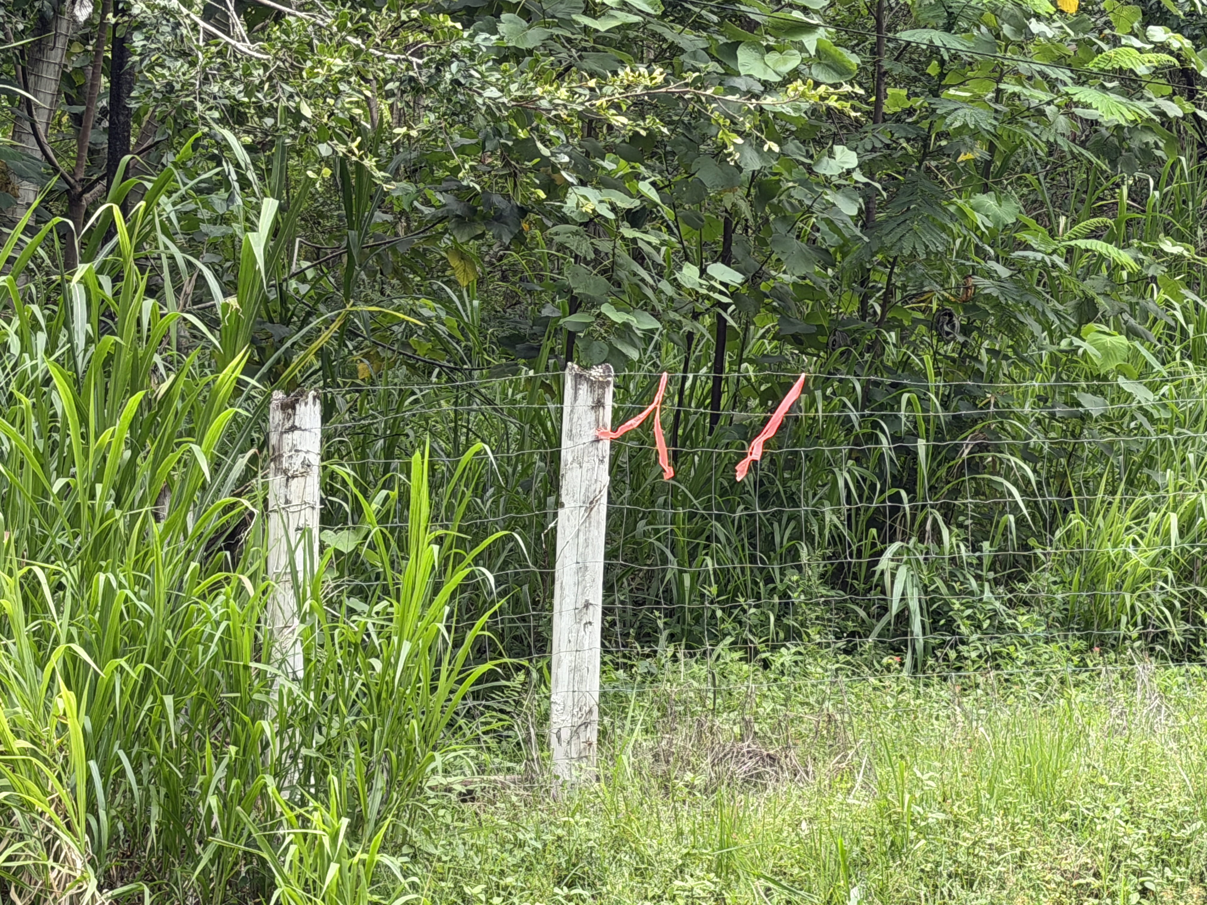 Opihikau Rd Property Photo 10