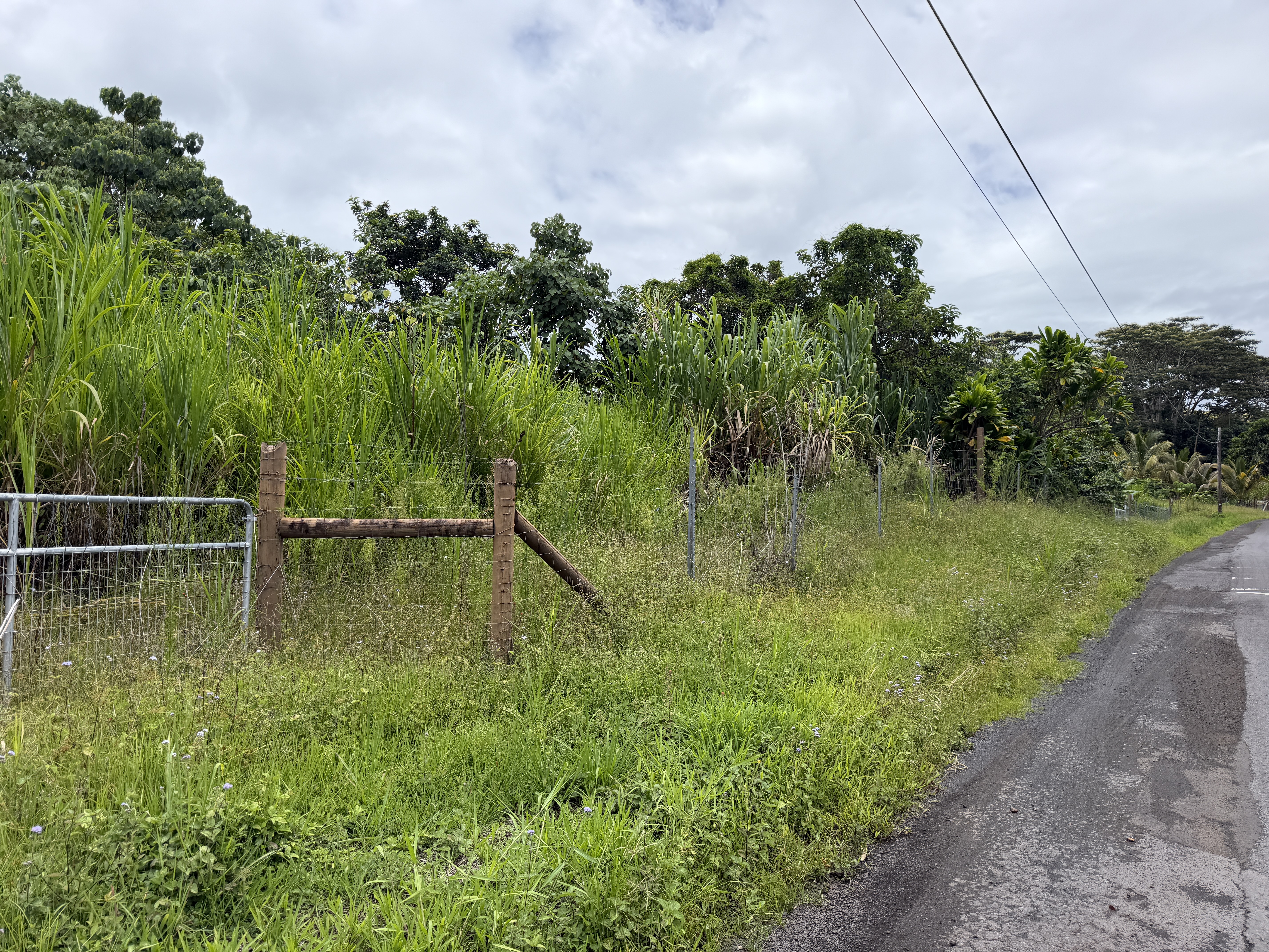 Opihikau Rd Property Photo 12