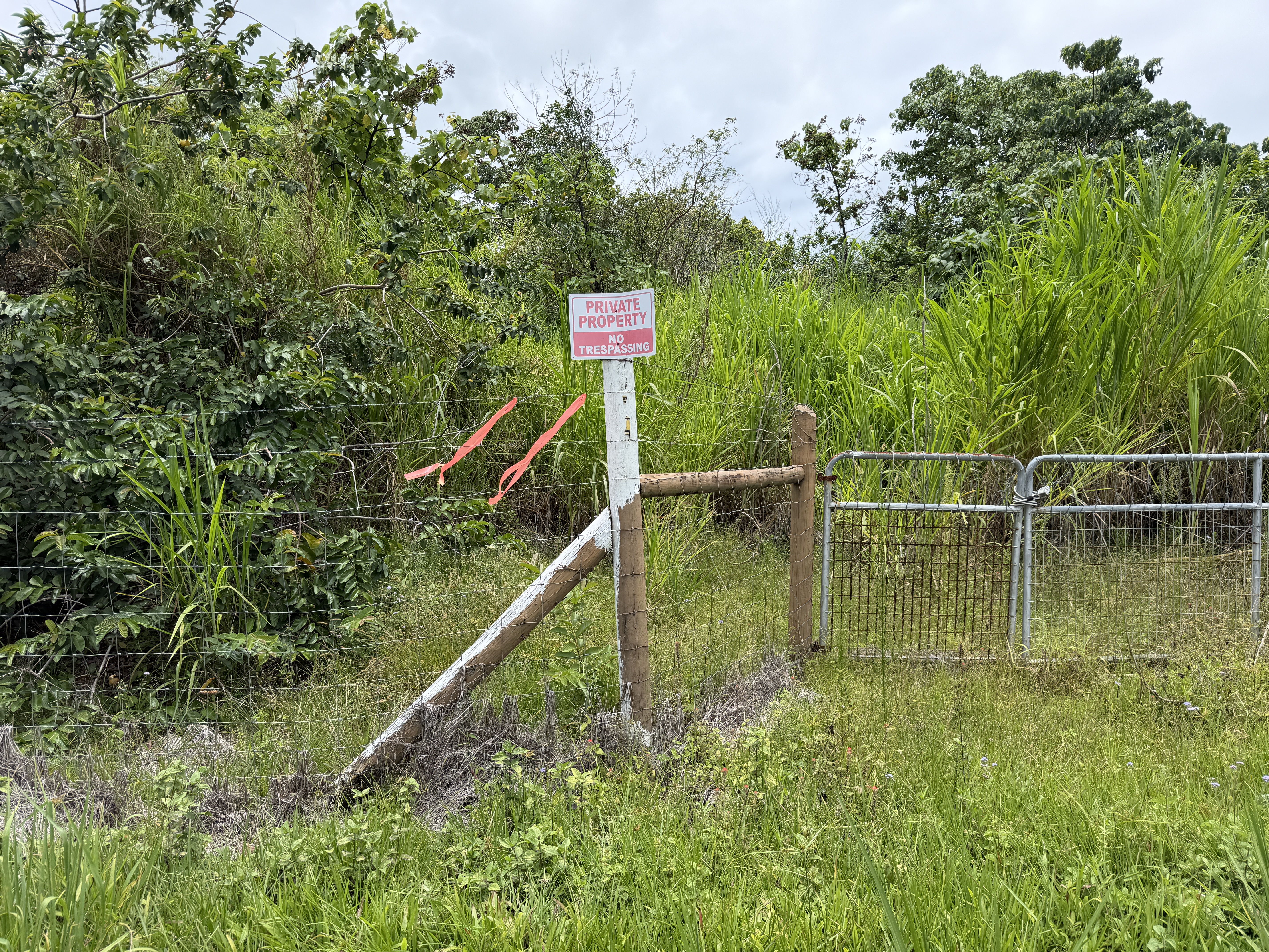 Opihikau Rd Property Photo 13