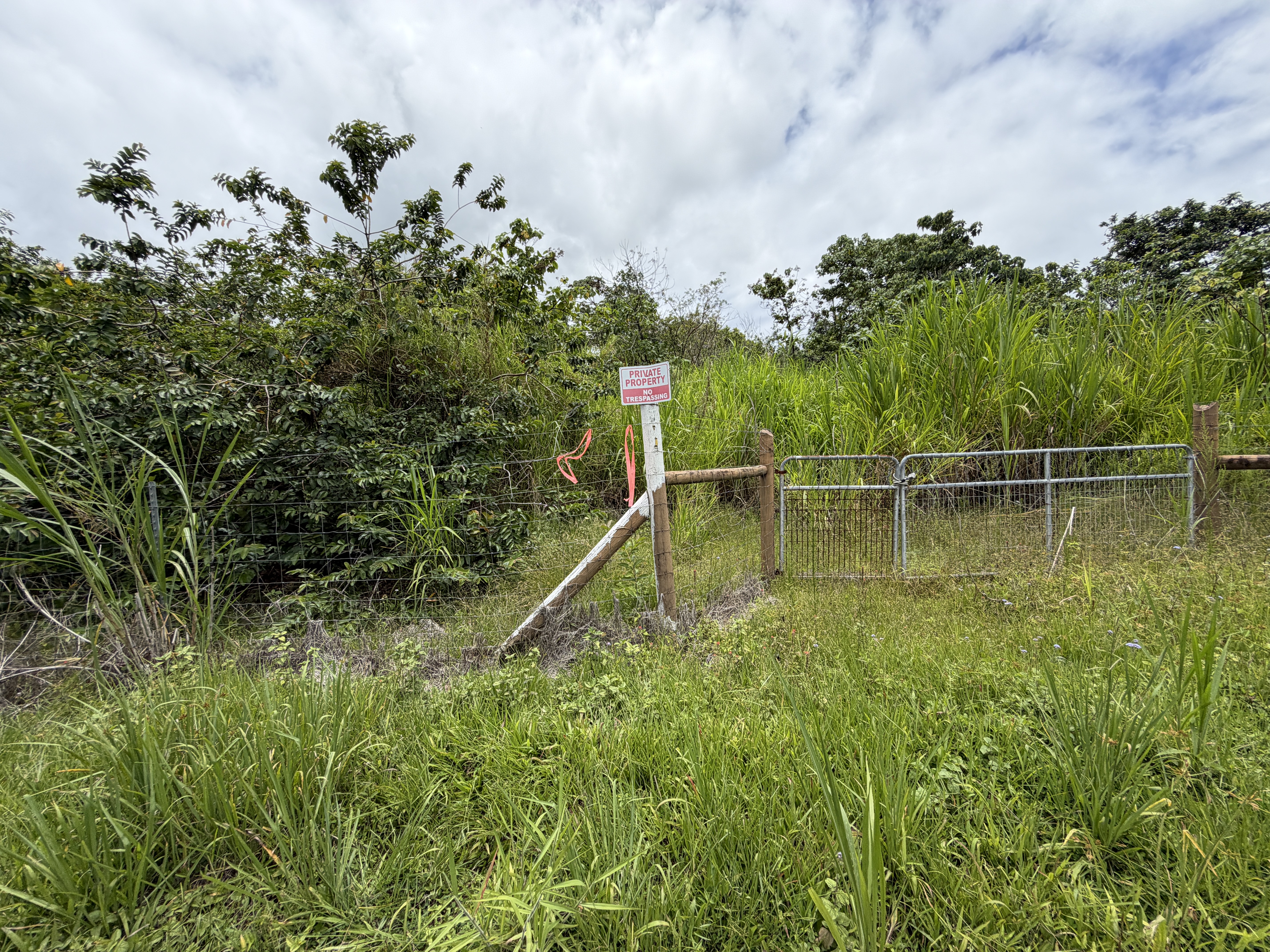 Opihikau Rd Property Photo 15