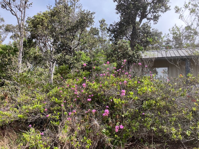 92-2773 Anuenue Dr Property Photo 13