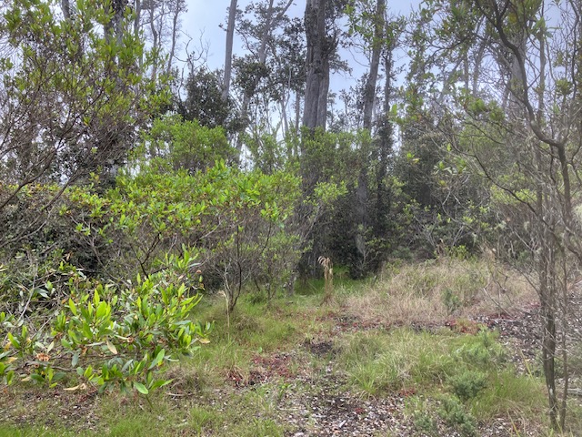 92-2773 Anuenue Dr Property Photo 26