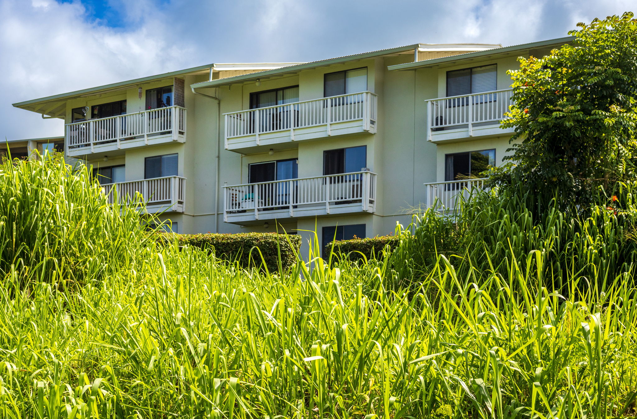 82-6065 Mamalahoa Hwy A201 Property Photo 25