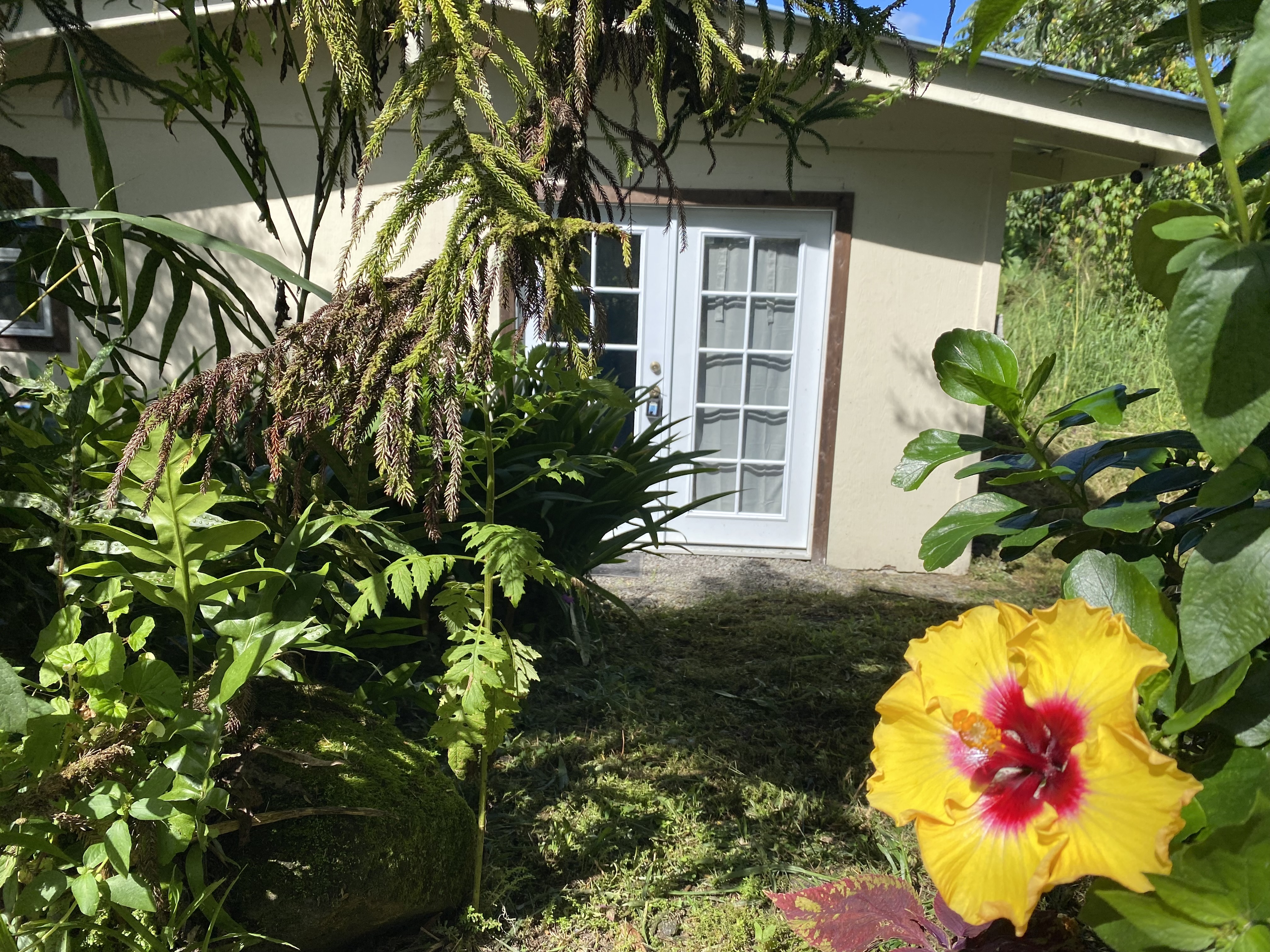 15-670 Puni Mauka Loop Property Photo 18