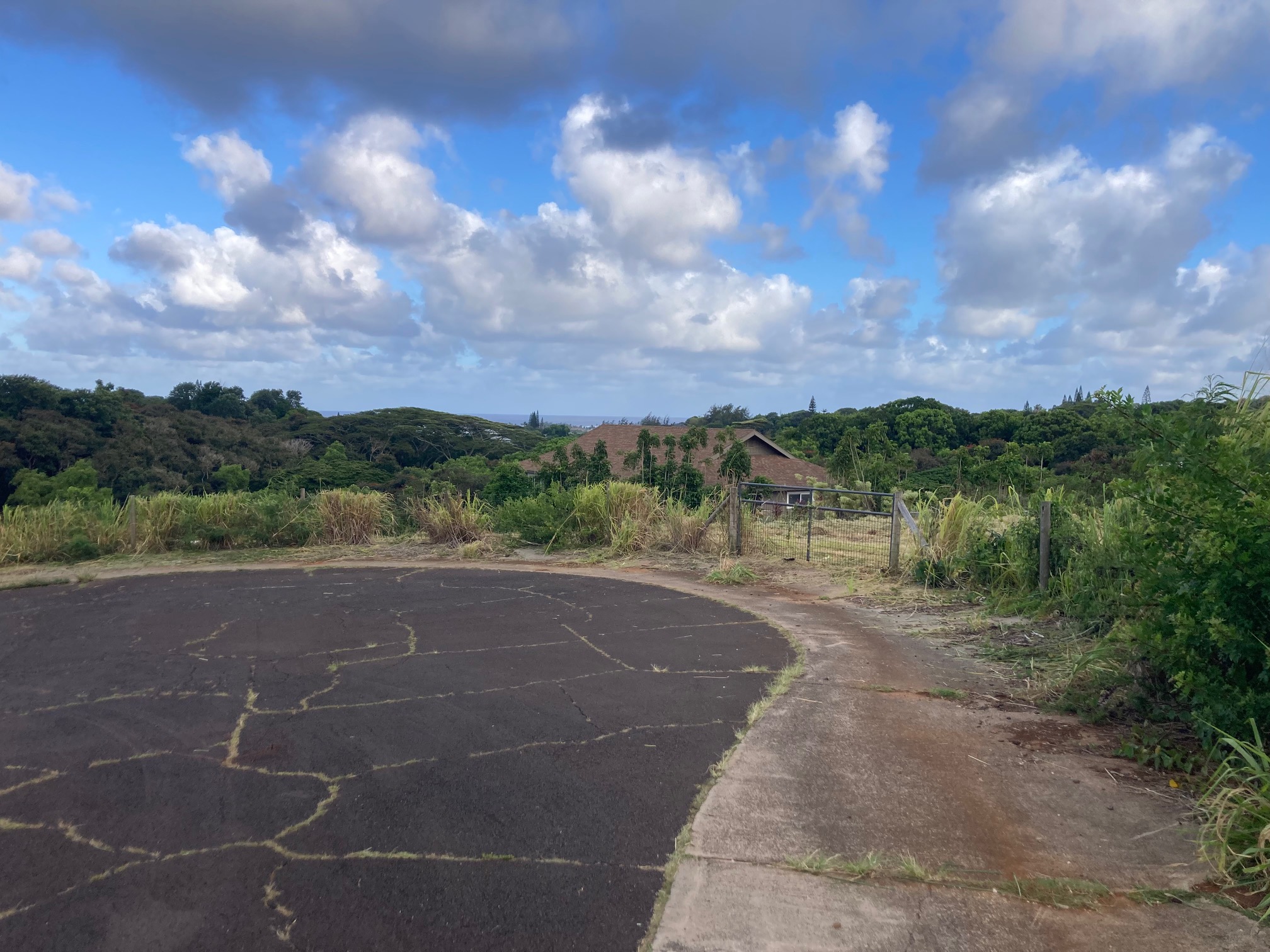 Kahana St Property Photo 3