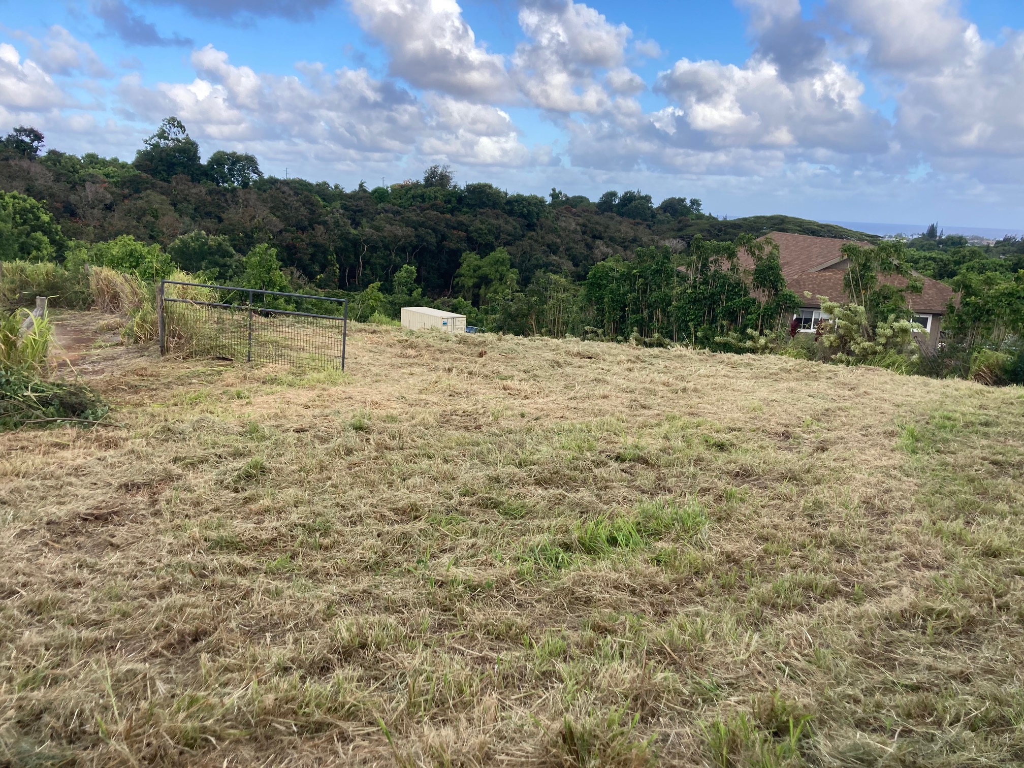 Kahana St Property Photo 5