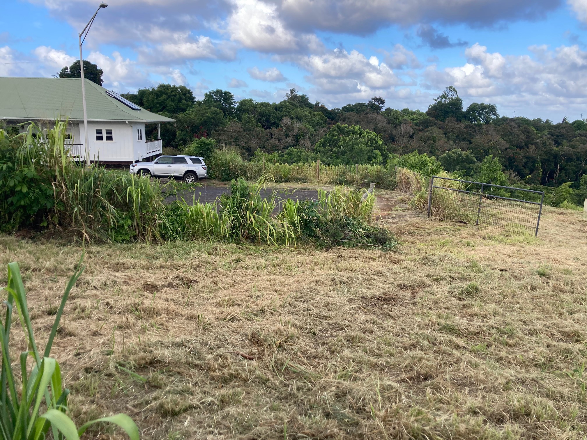 Kahana St Property Photo 7