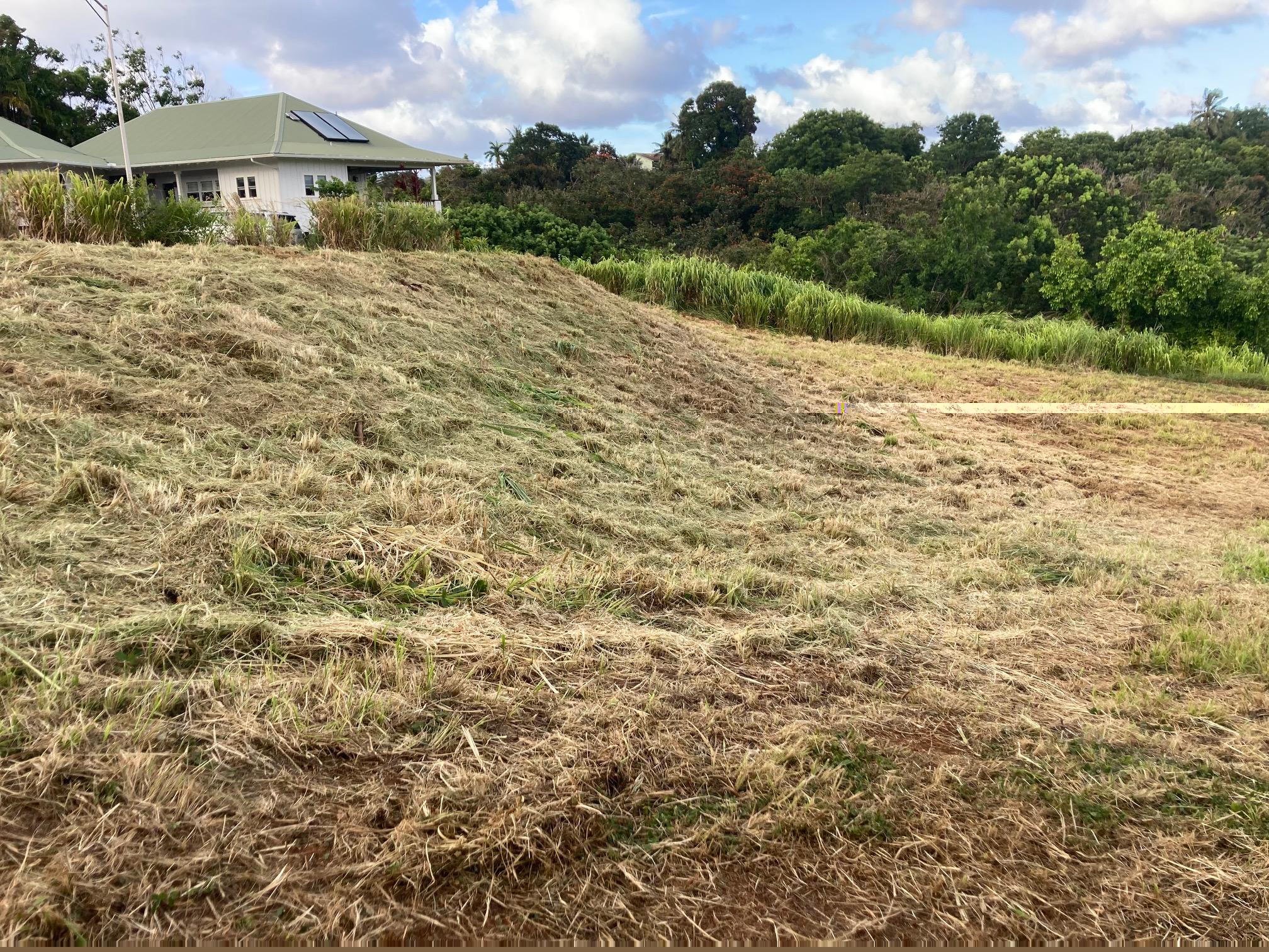 Kahana St Property Photo 9