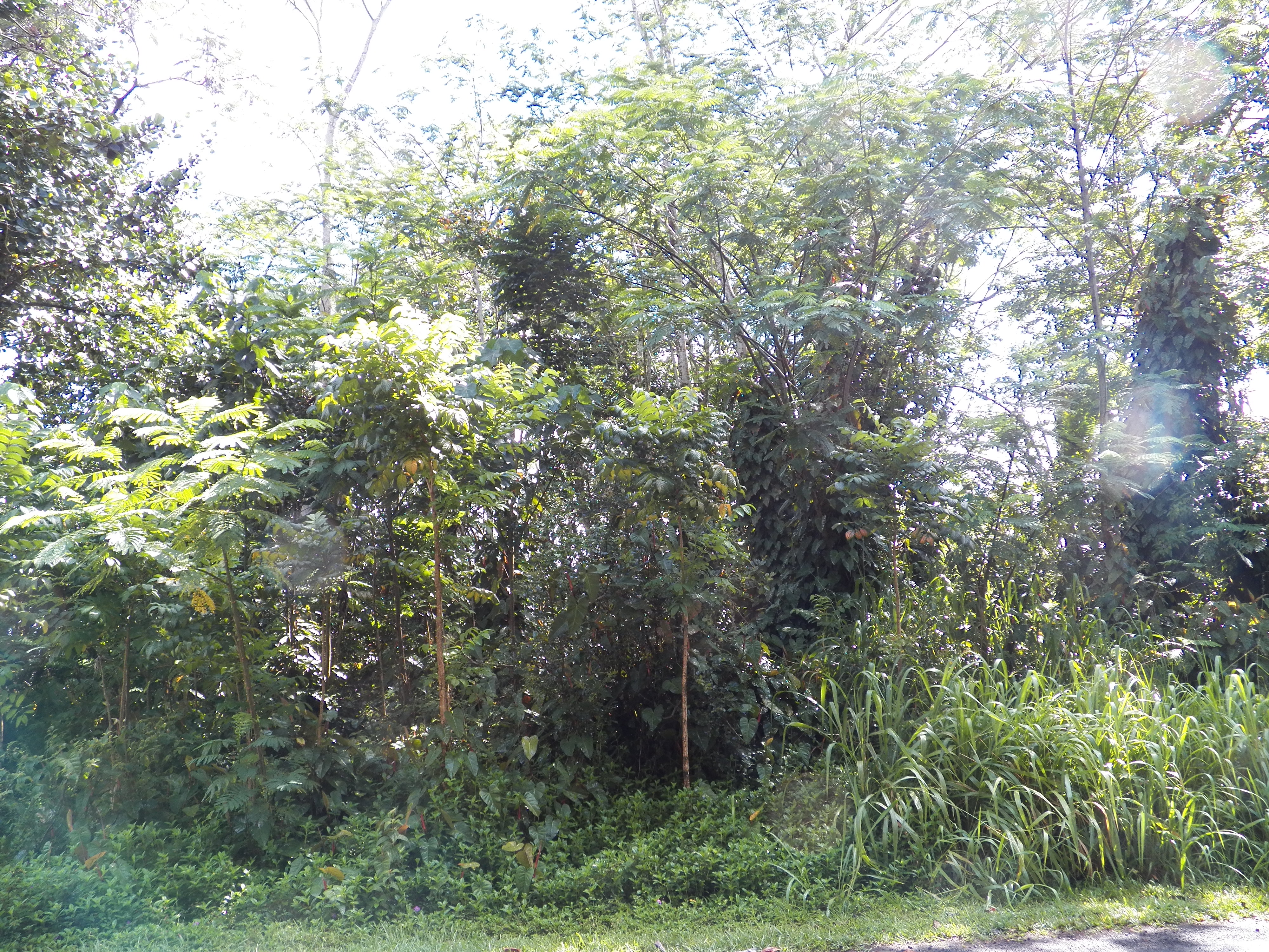 25th Ave Property Photo 3