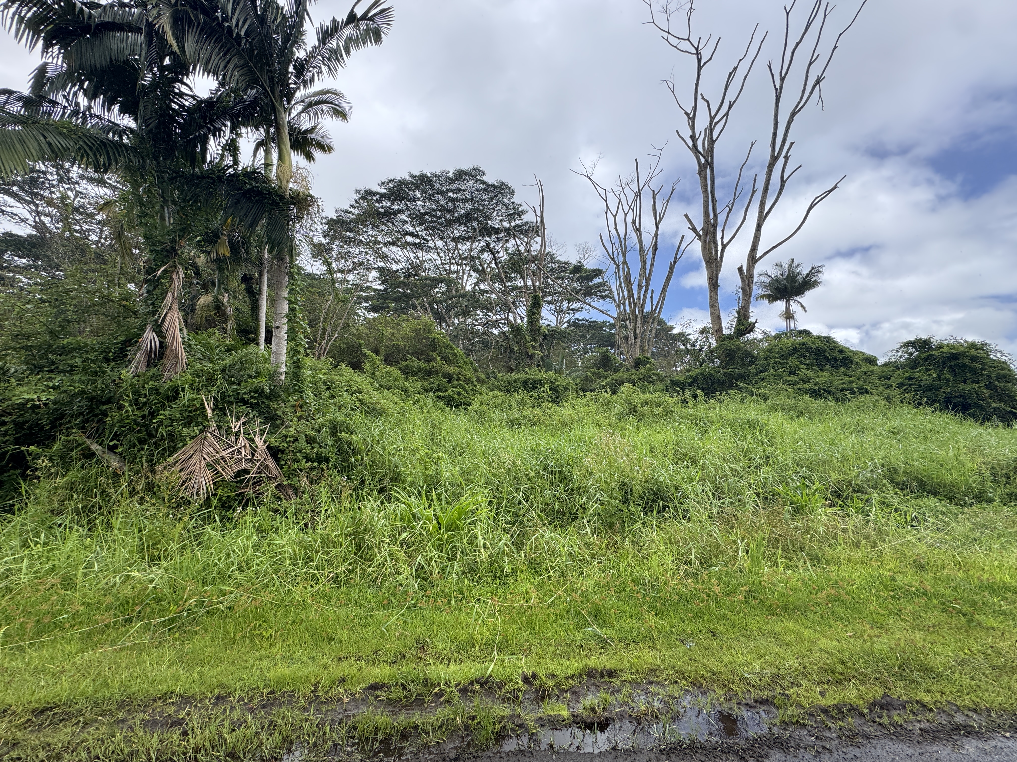 17-4113 Kukui Camp Rd Property Photo 2